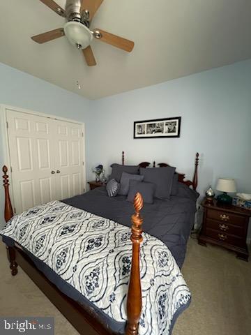 SHENANDOAH SPRINGS - Residential