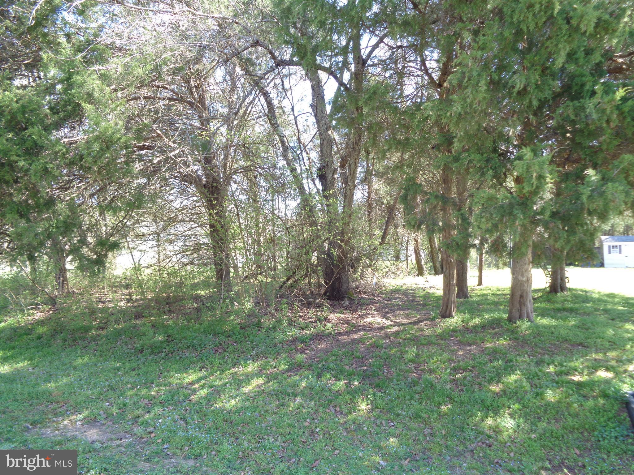 CLIFFTON ON THE POTOMAC - Land