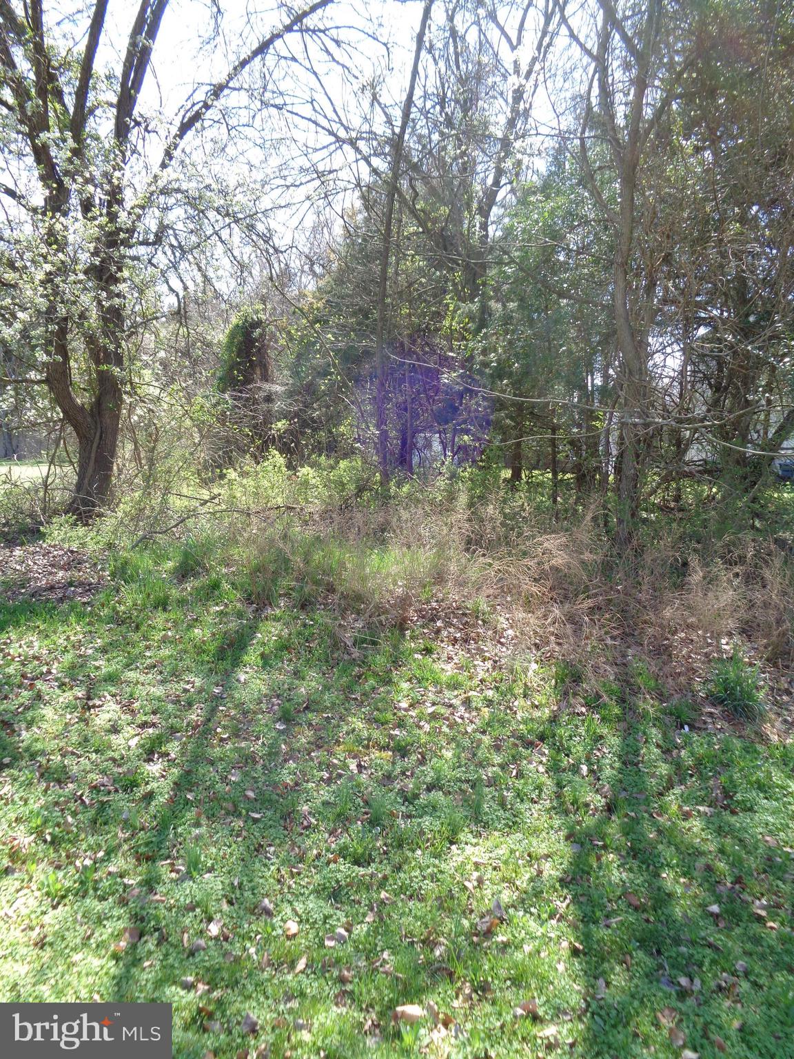 CLIFFTON ON THE POTOMAC - Land