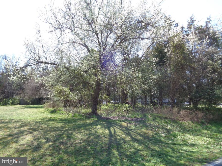 Lot is Flat and may have a decent water view  its hard to find a nicer 1/3 of an acre lot close to water that's ready to build for under 50k Lot has recorded perc and is ready for your new home. All Perc info is in the Document section of Bright