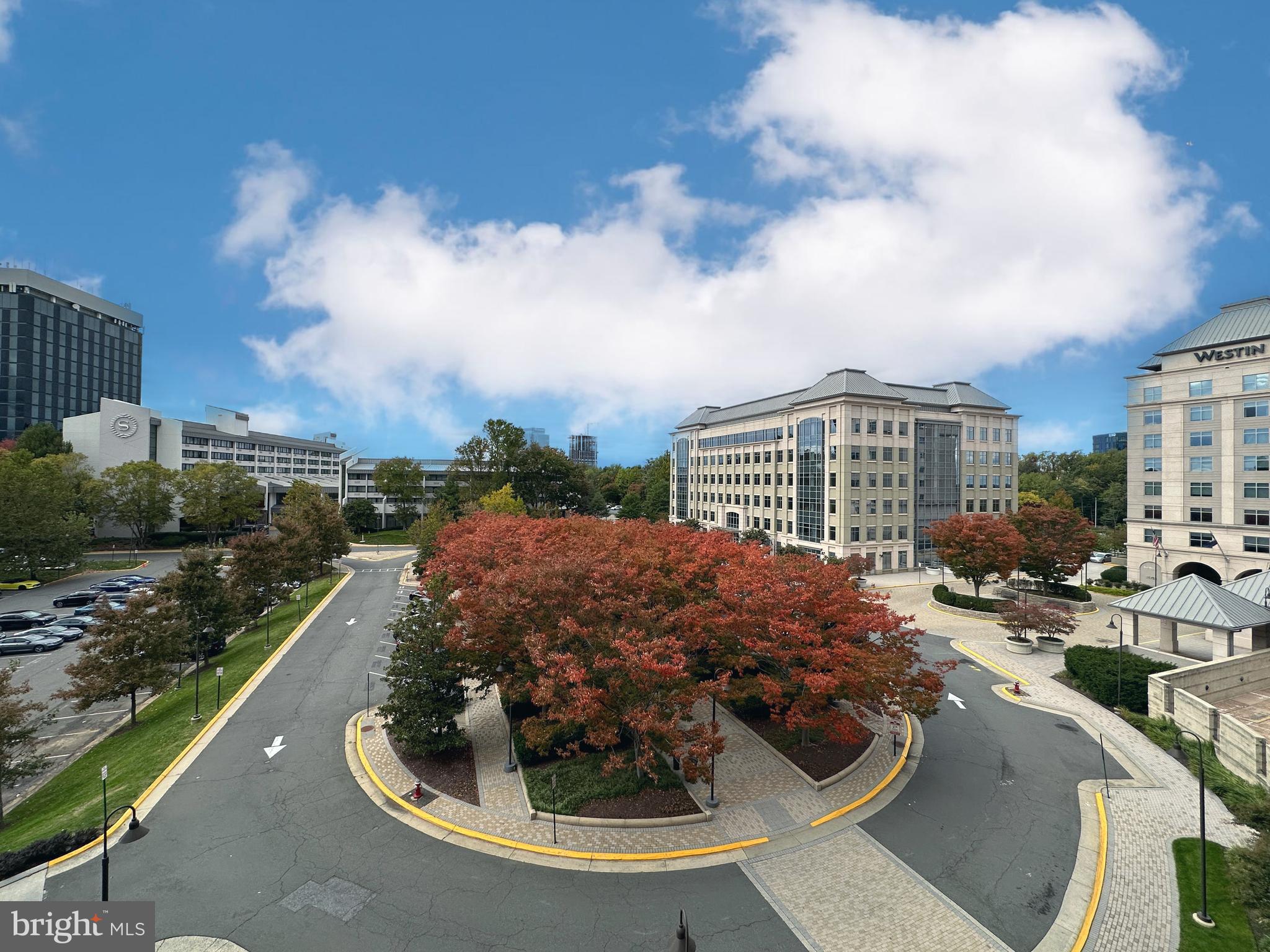 MERCER - Residential Lease