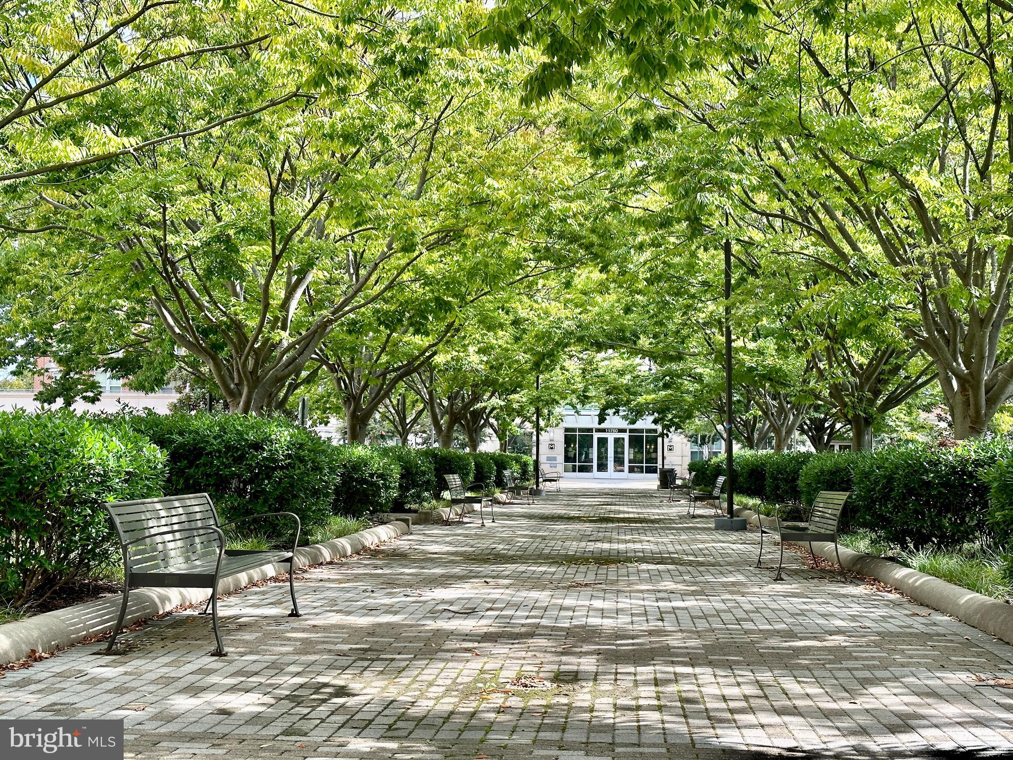 MERCER - Residential Lease