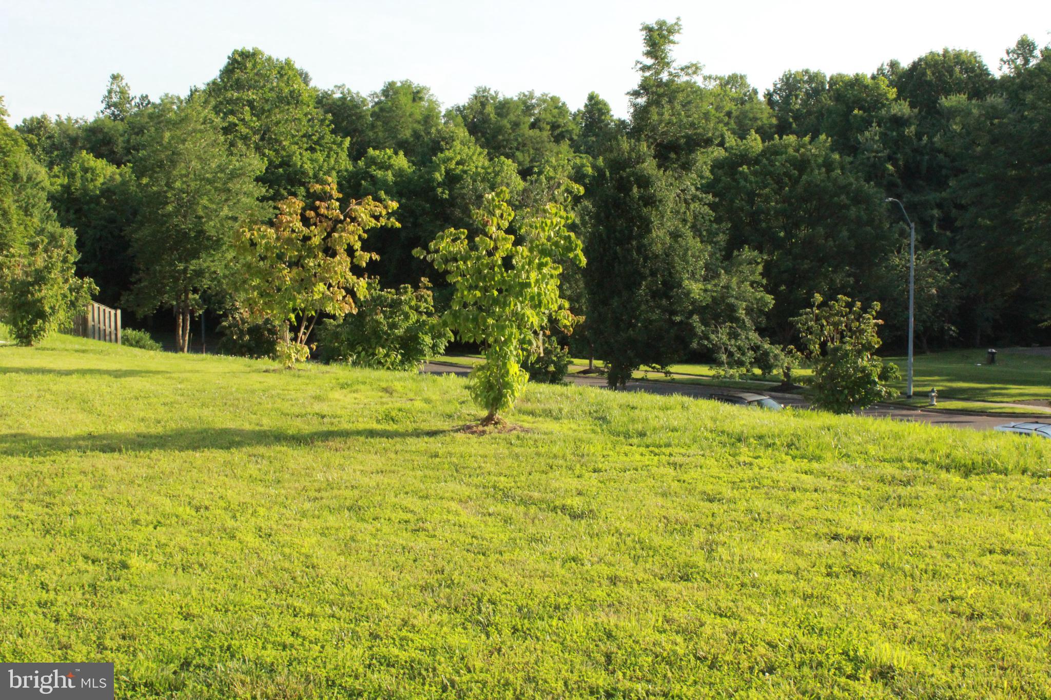 MARLBORO MEADOWS - Residential