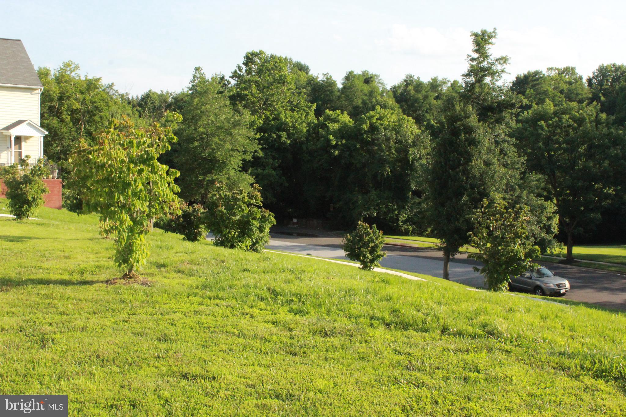 MARLBORO MEADOWS - Residential