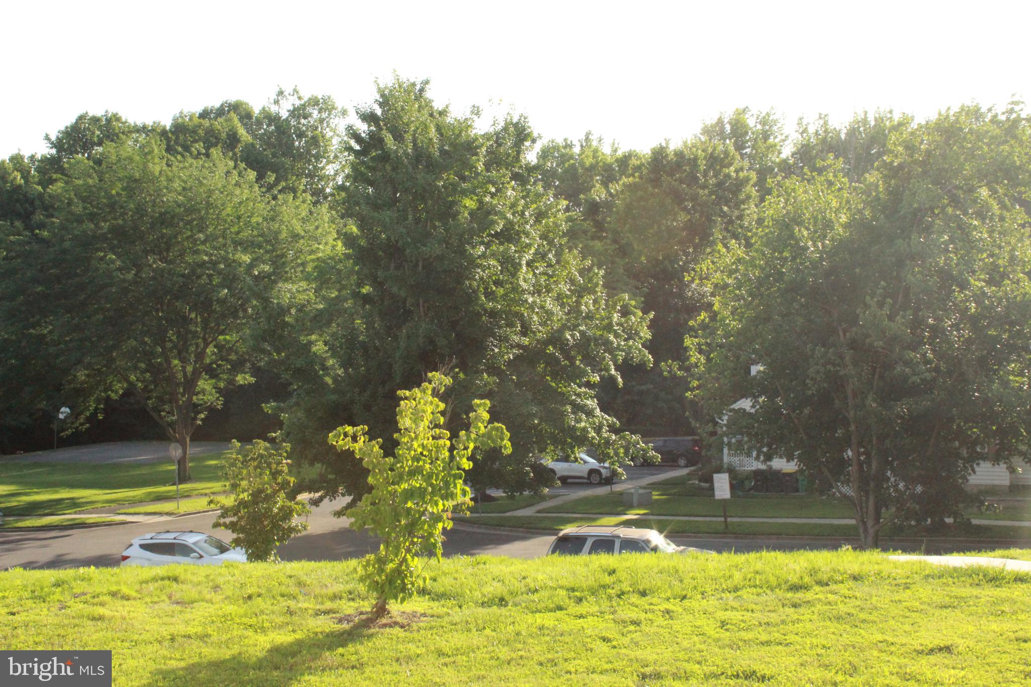 MARLBORO MEADOWS - Residential