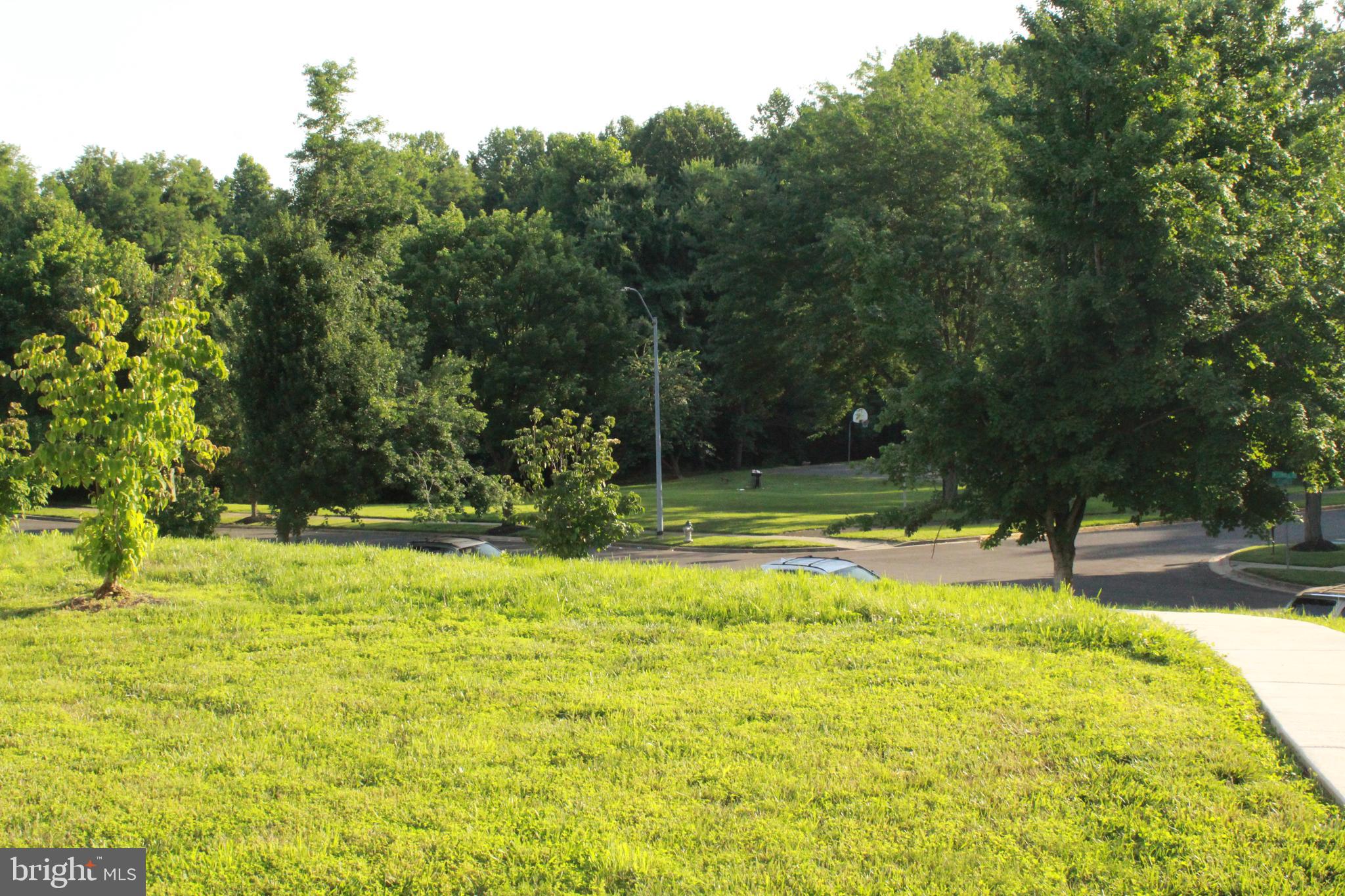 MARLBORO MEADOWS - Residential