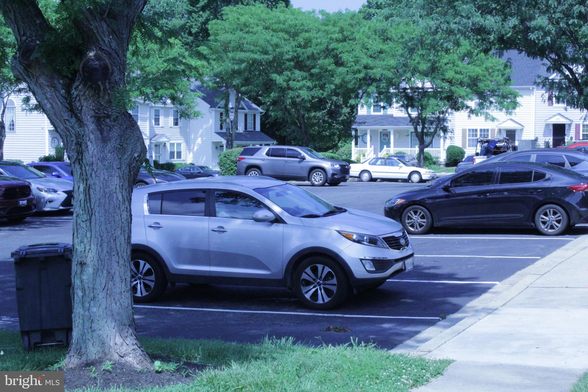 MARLBORO MEADOWS - Residential