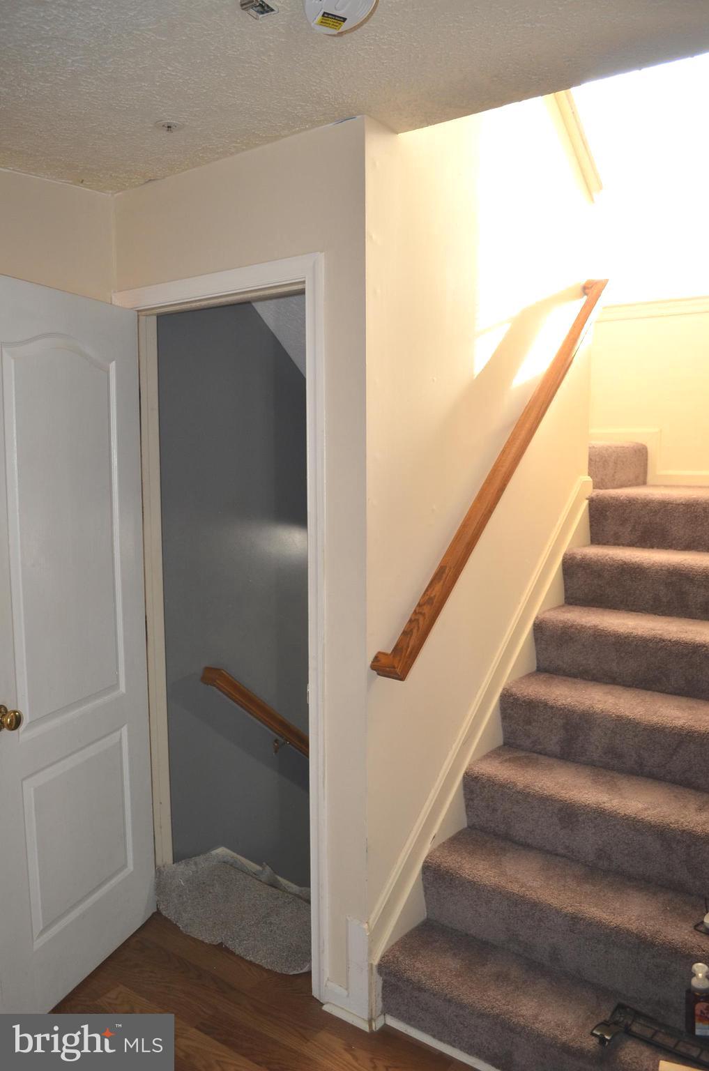 MARLBORO MEADOWS - Residential