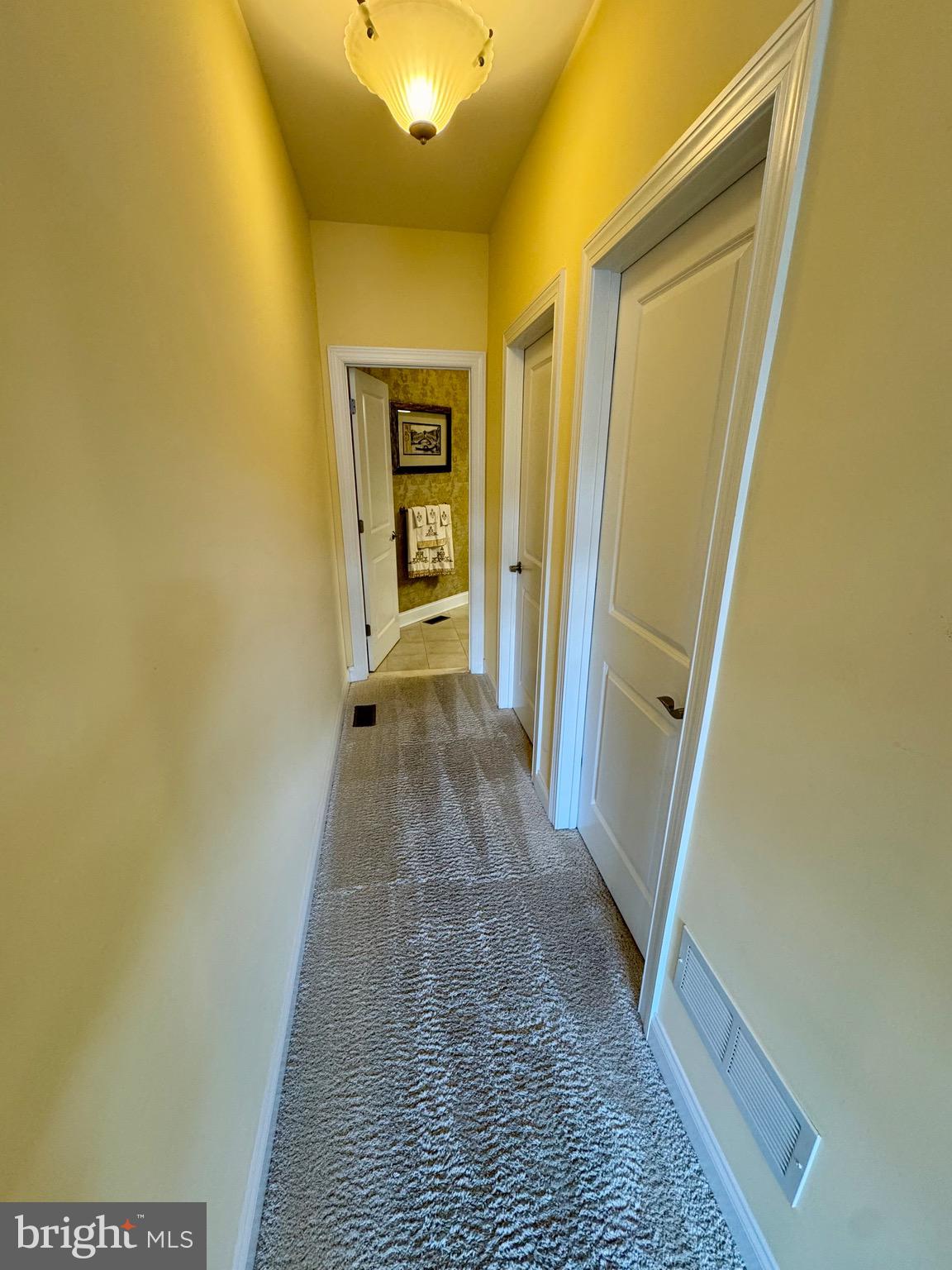 VILLAGE OF BRANDYWINE - Residential