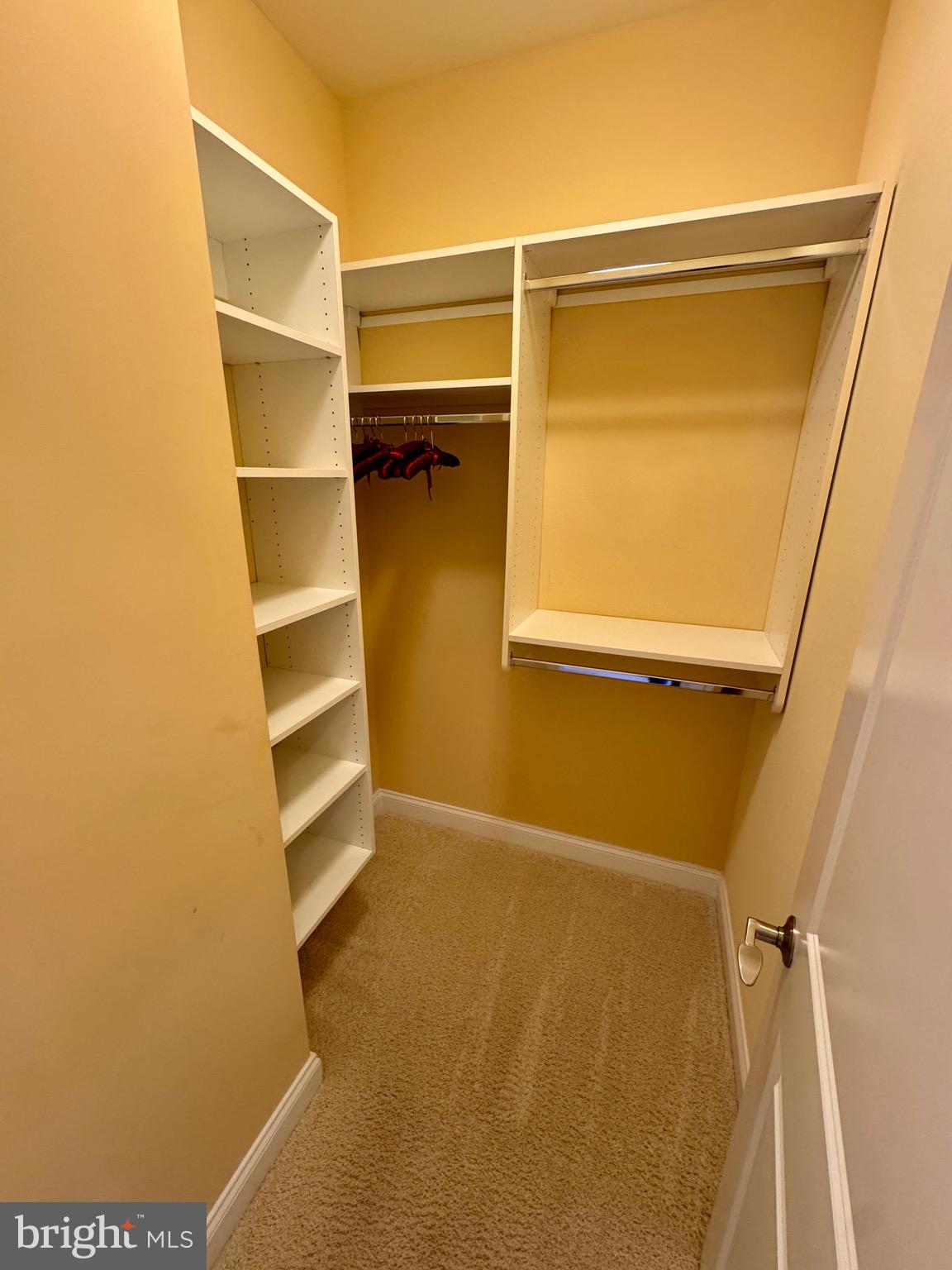 VILLAGE OF BRANDYWINE - Residential