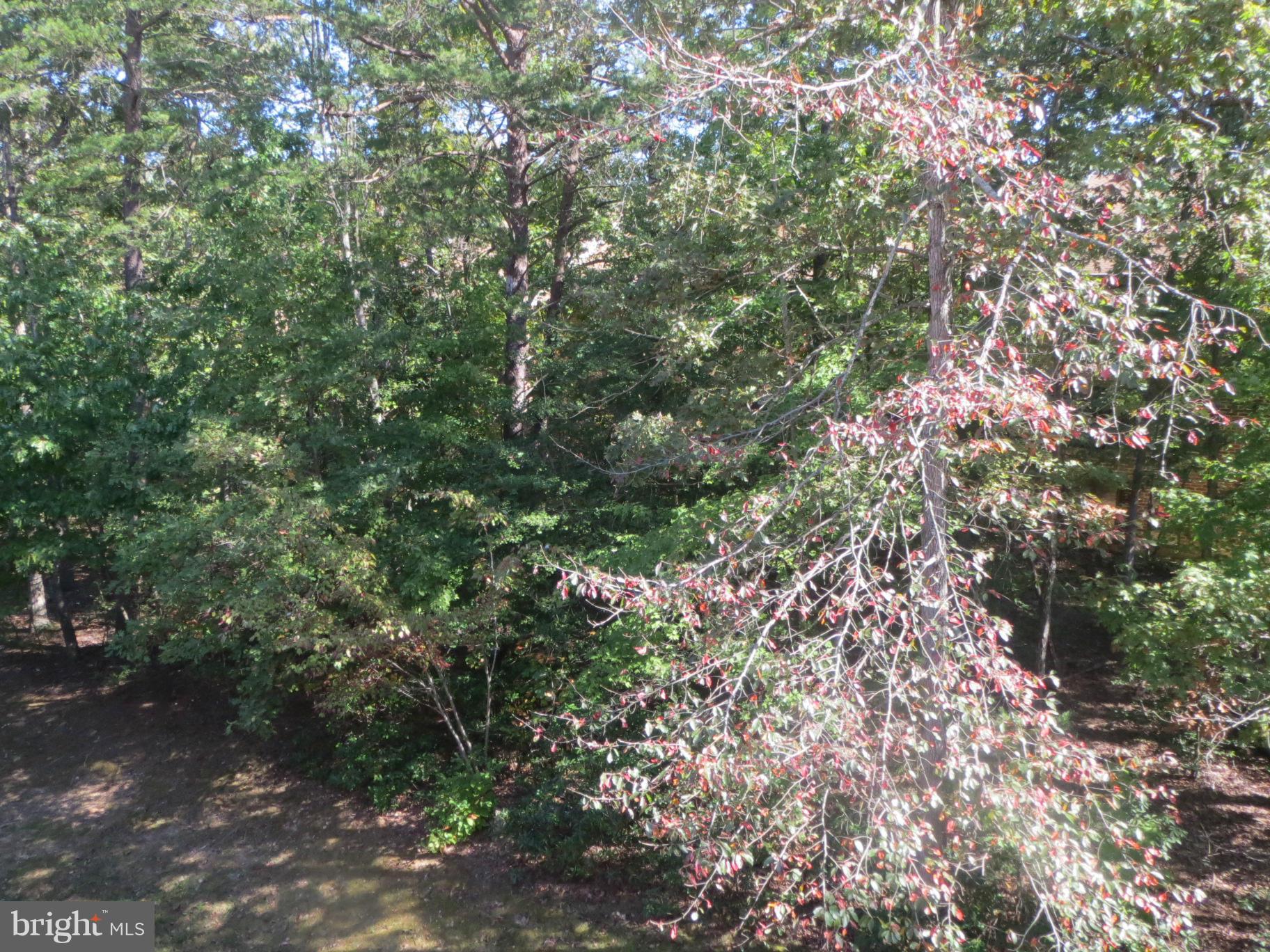 WILDEWOOD - Residential Lease