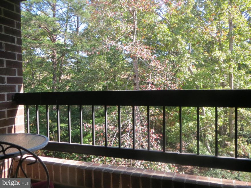 Neat and clean top level condo.  Open floor plan with kitchen breakfast bar.  Spacious walk in closet.  Enjoy wooded views from the balcony. Ready for you to move in.