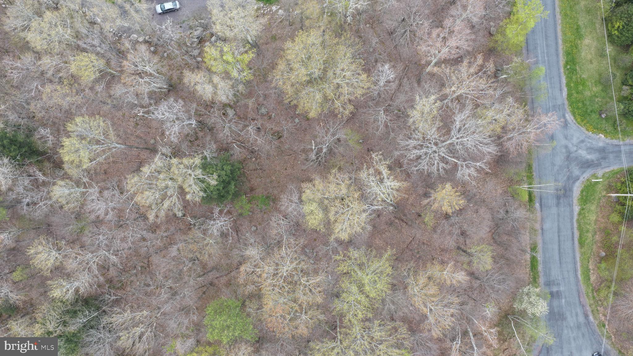 Lot 31 LEHIGH RIVER COURT