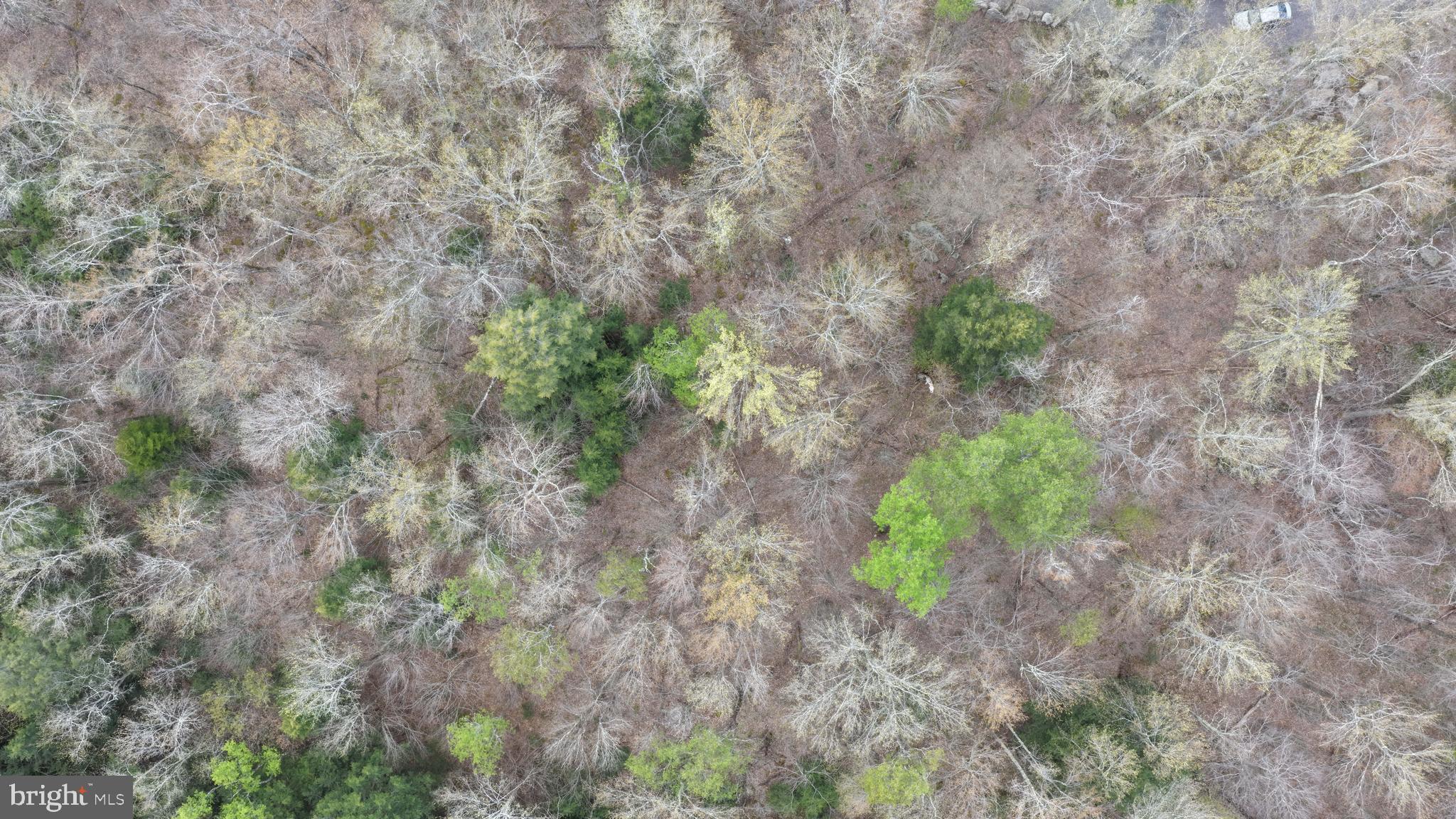 Lot 31 LEHIGH RIVER COURT