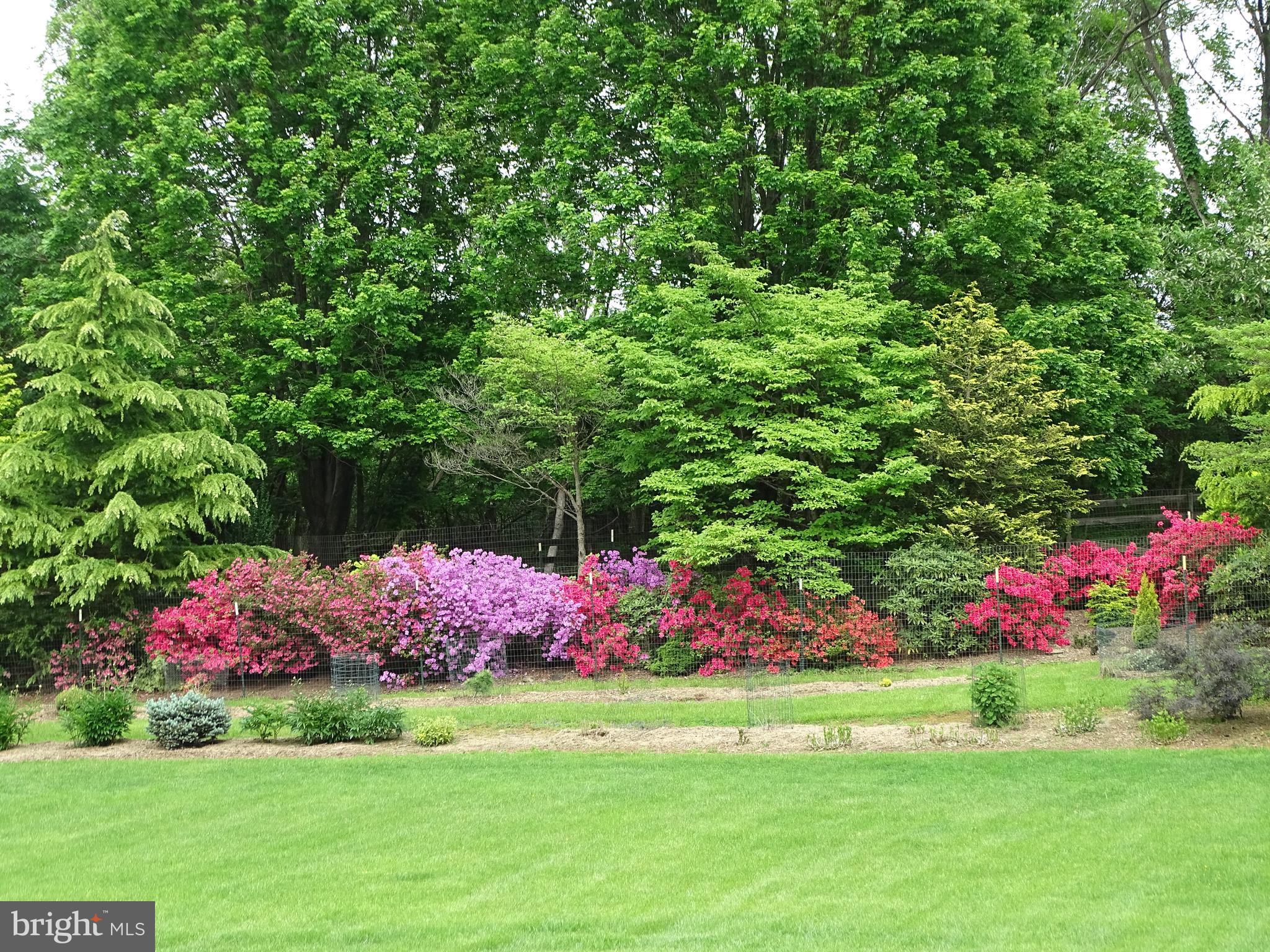 WASH & LEE UNIV - Residential