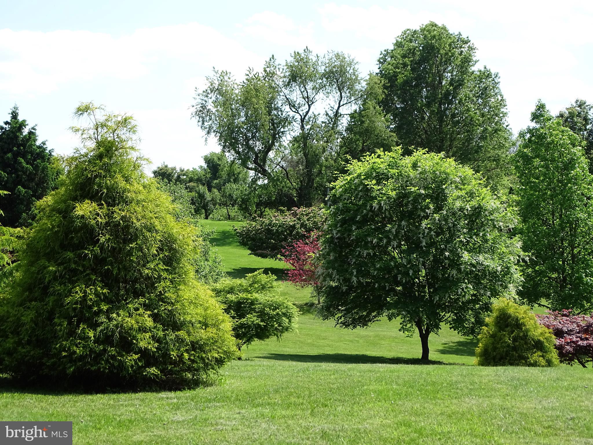 WASH & LEE UNIV - Residential