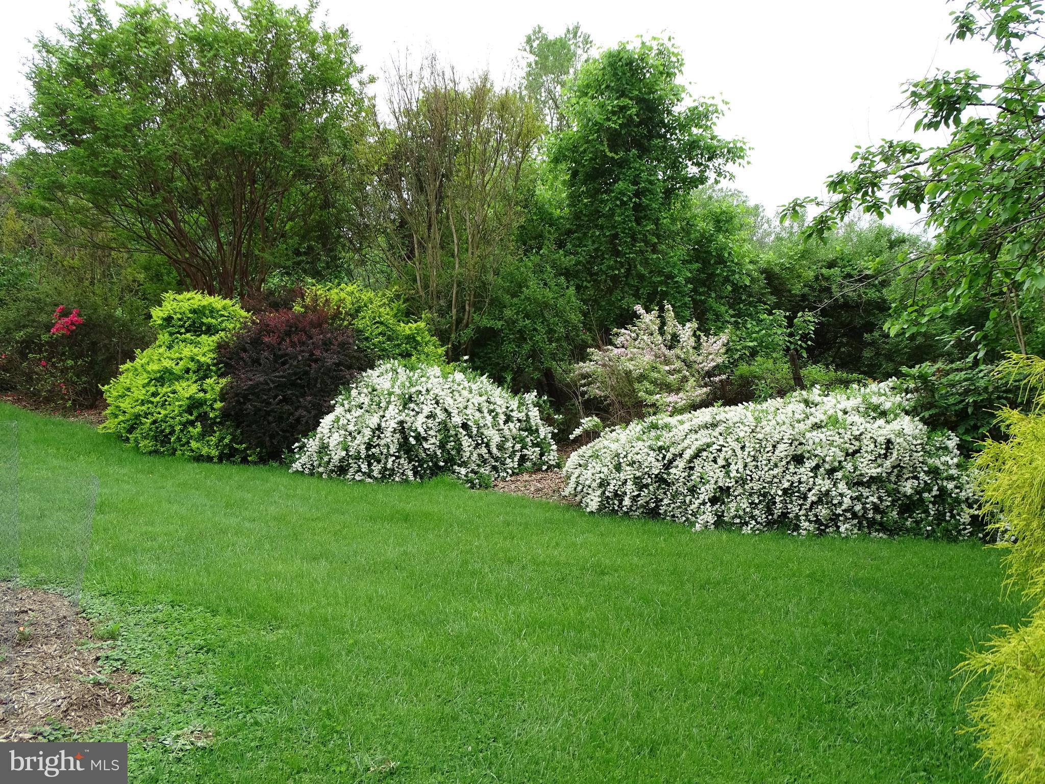 WASH & LEE UNIV - Residential