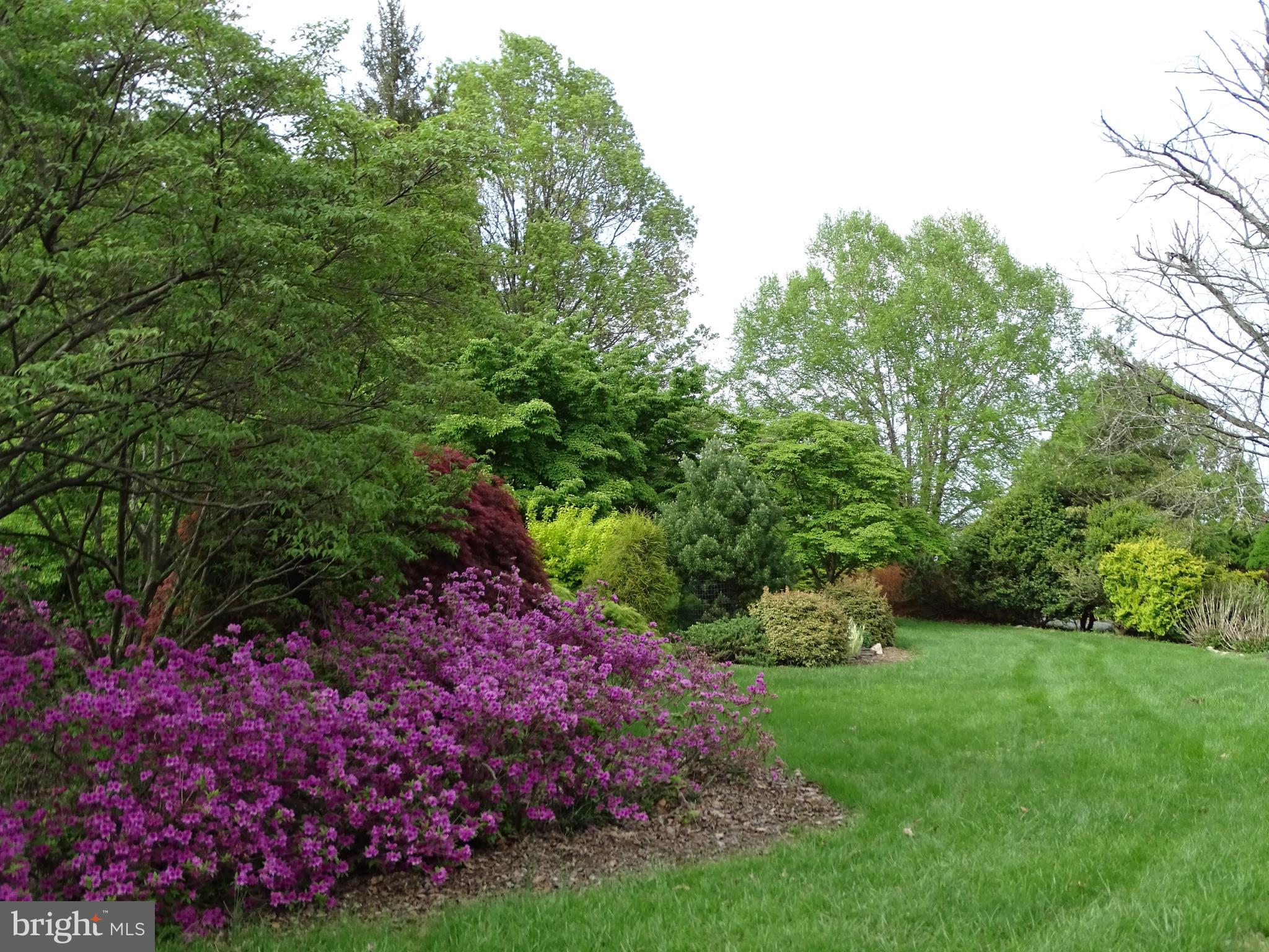 WASH & LEE UNIV - Residential