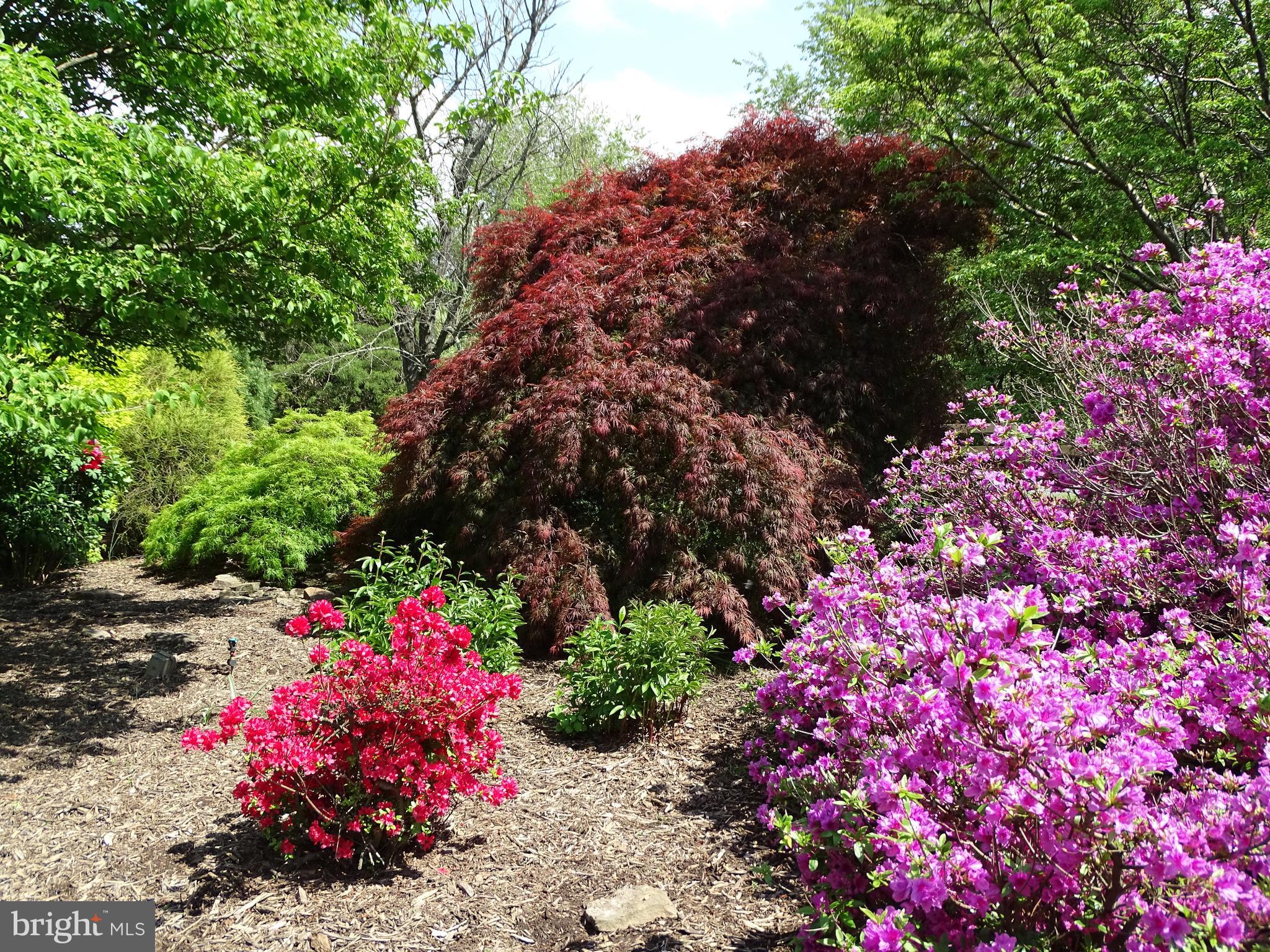 WASH & LEE UNIV - Residential