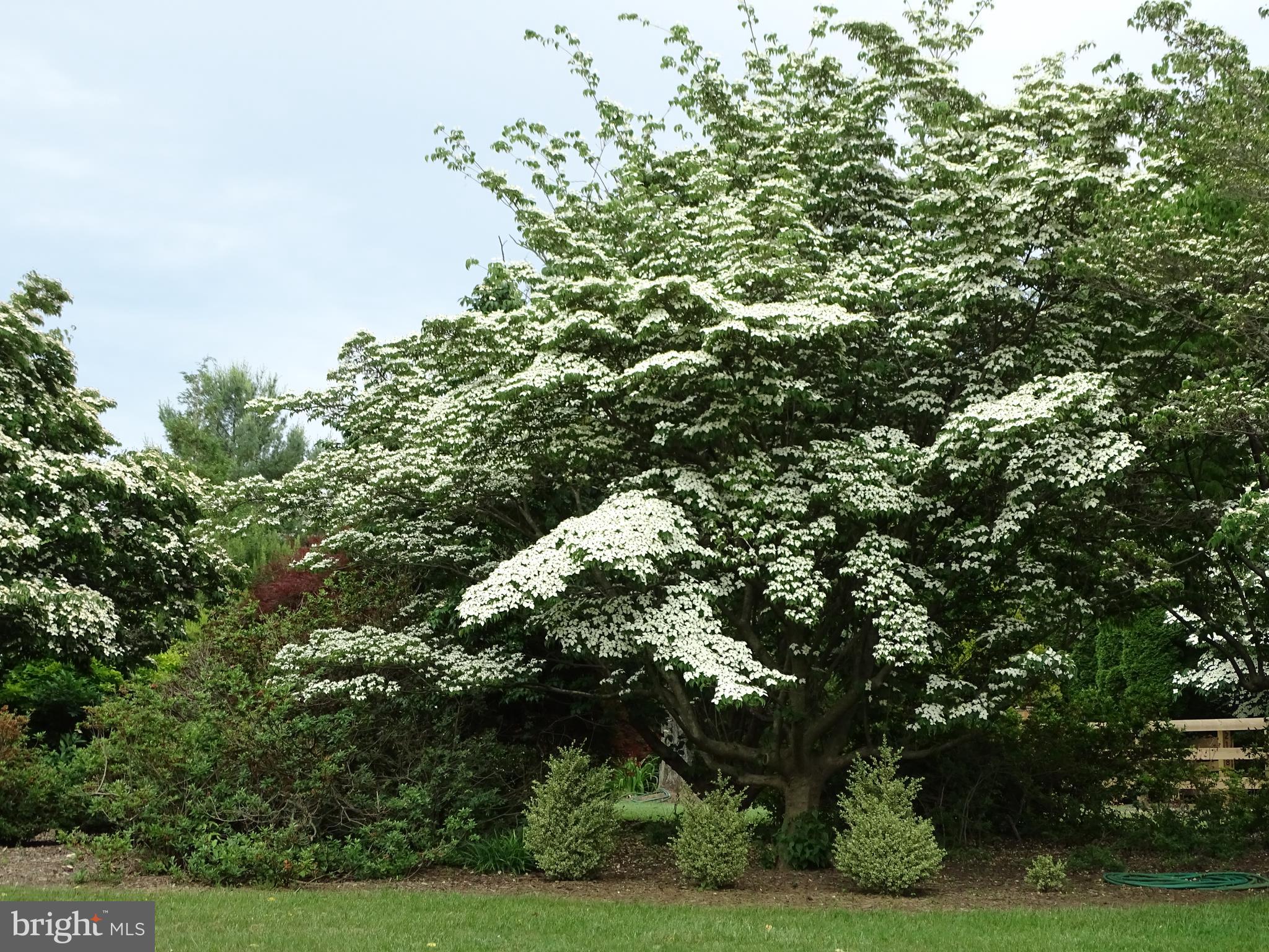 WASH & LEE UNIV - Residential