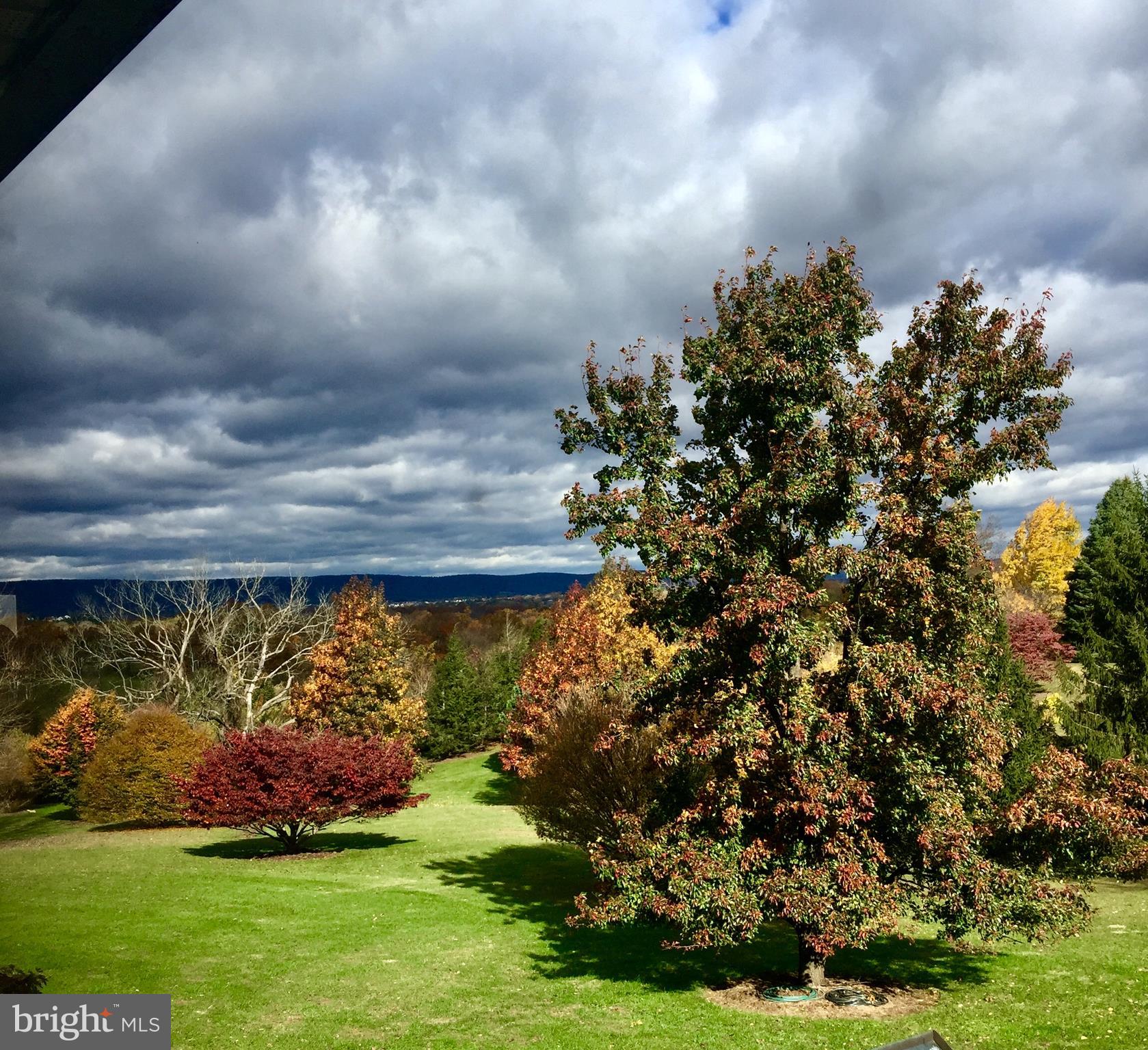 WASH & LEE UNIV - Residential