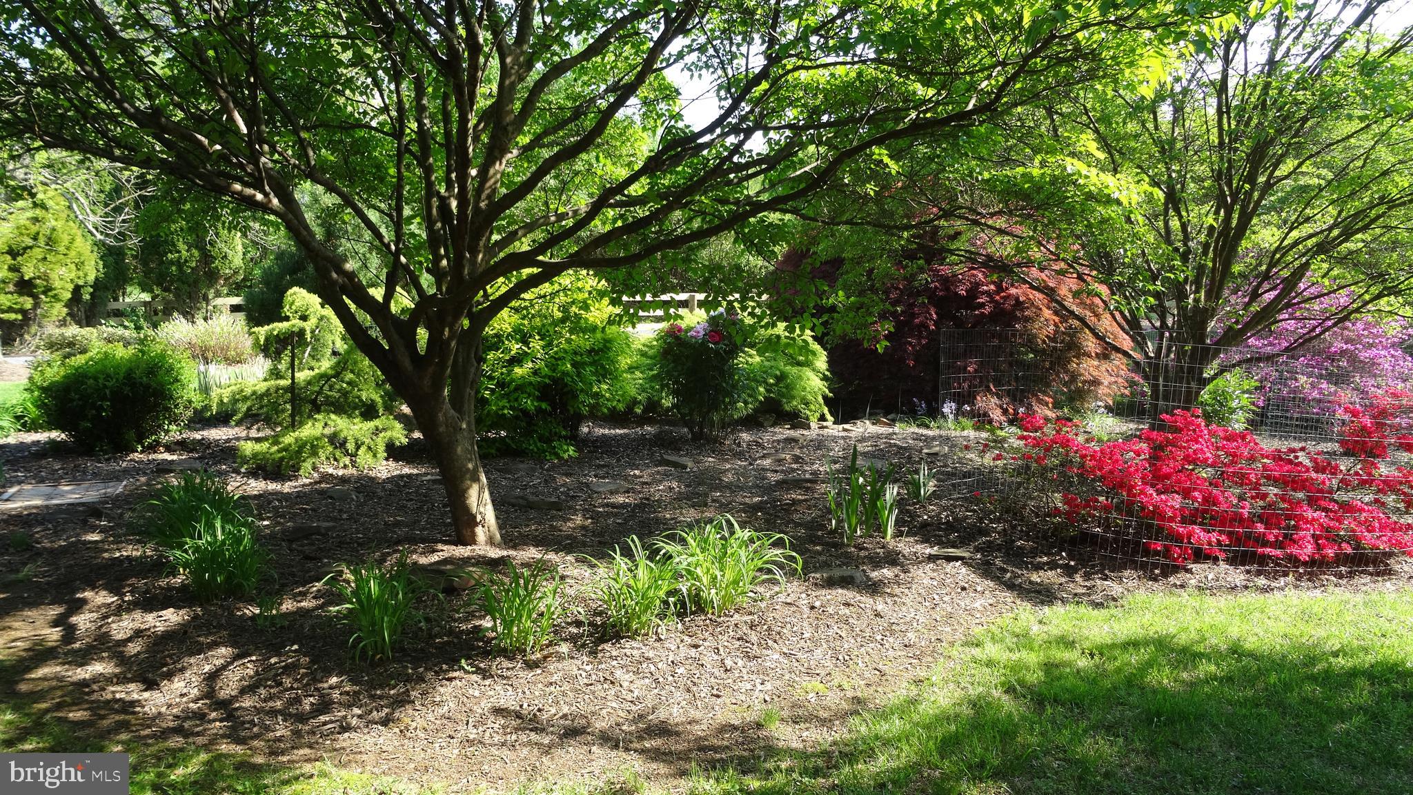 WASH & LEE UNIV - Residential