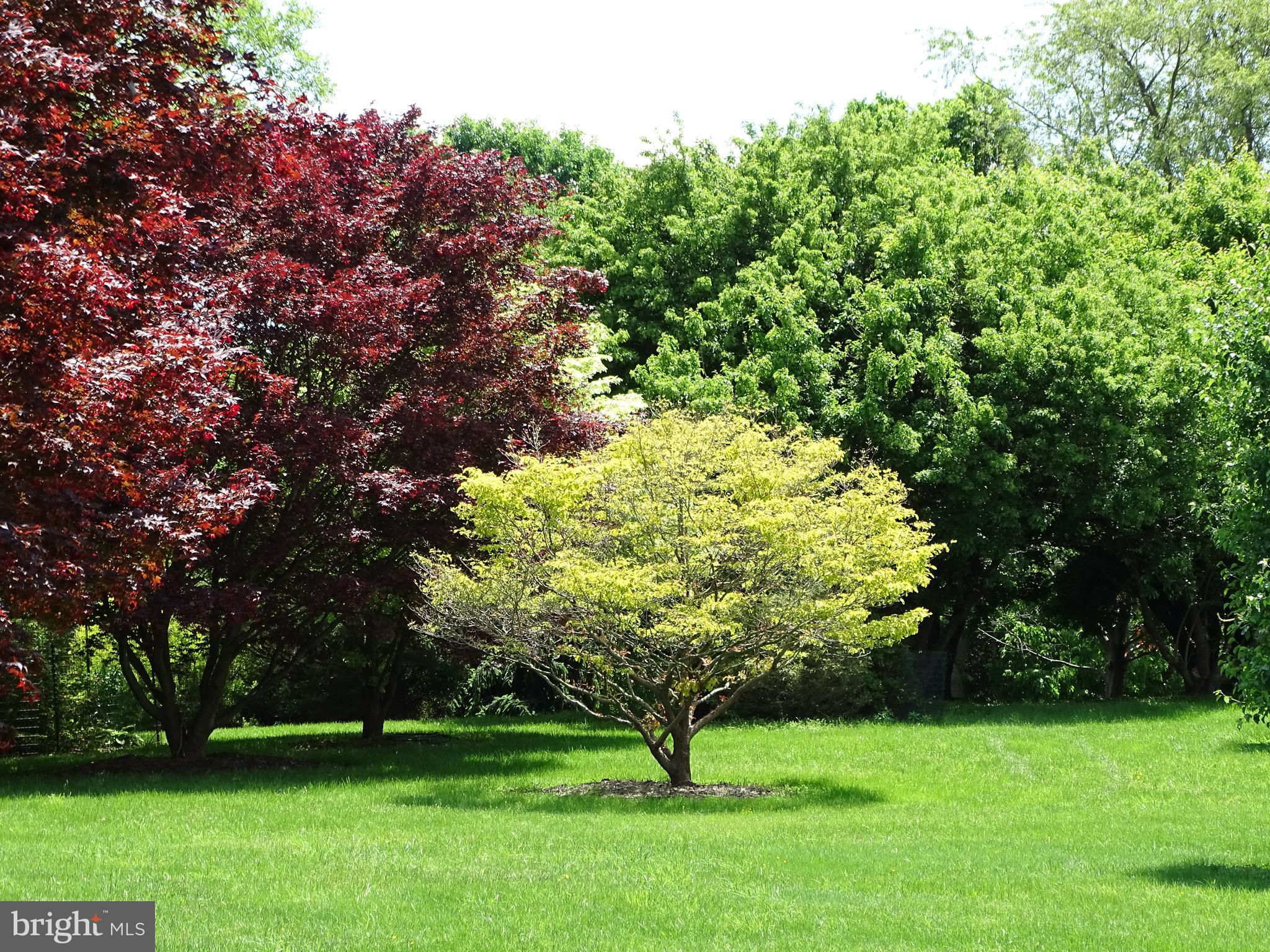 WASH & LEE UNIV - Residential