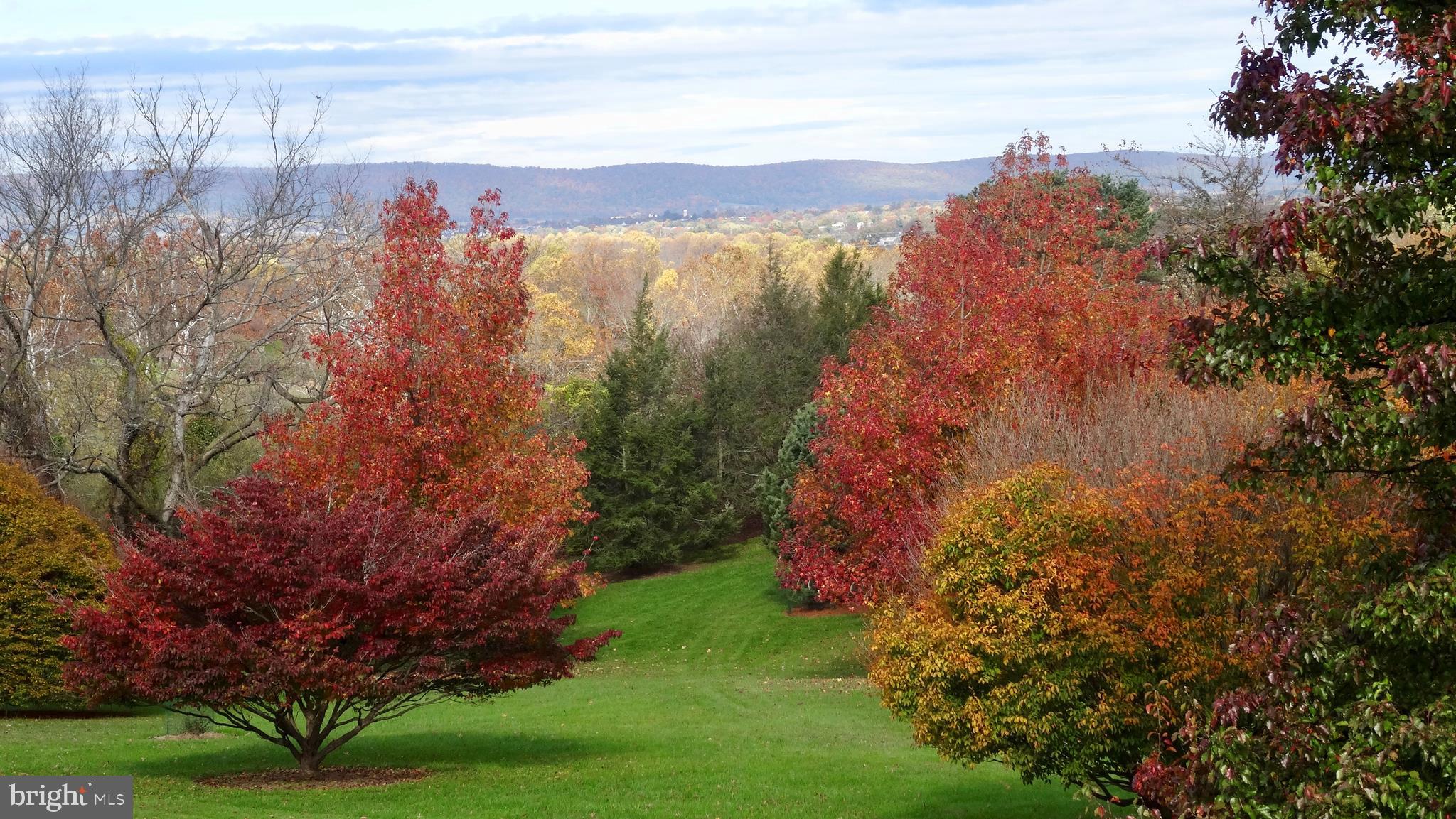 WASH & LEE UNIV - Residential