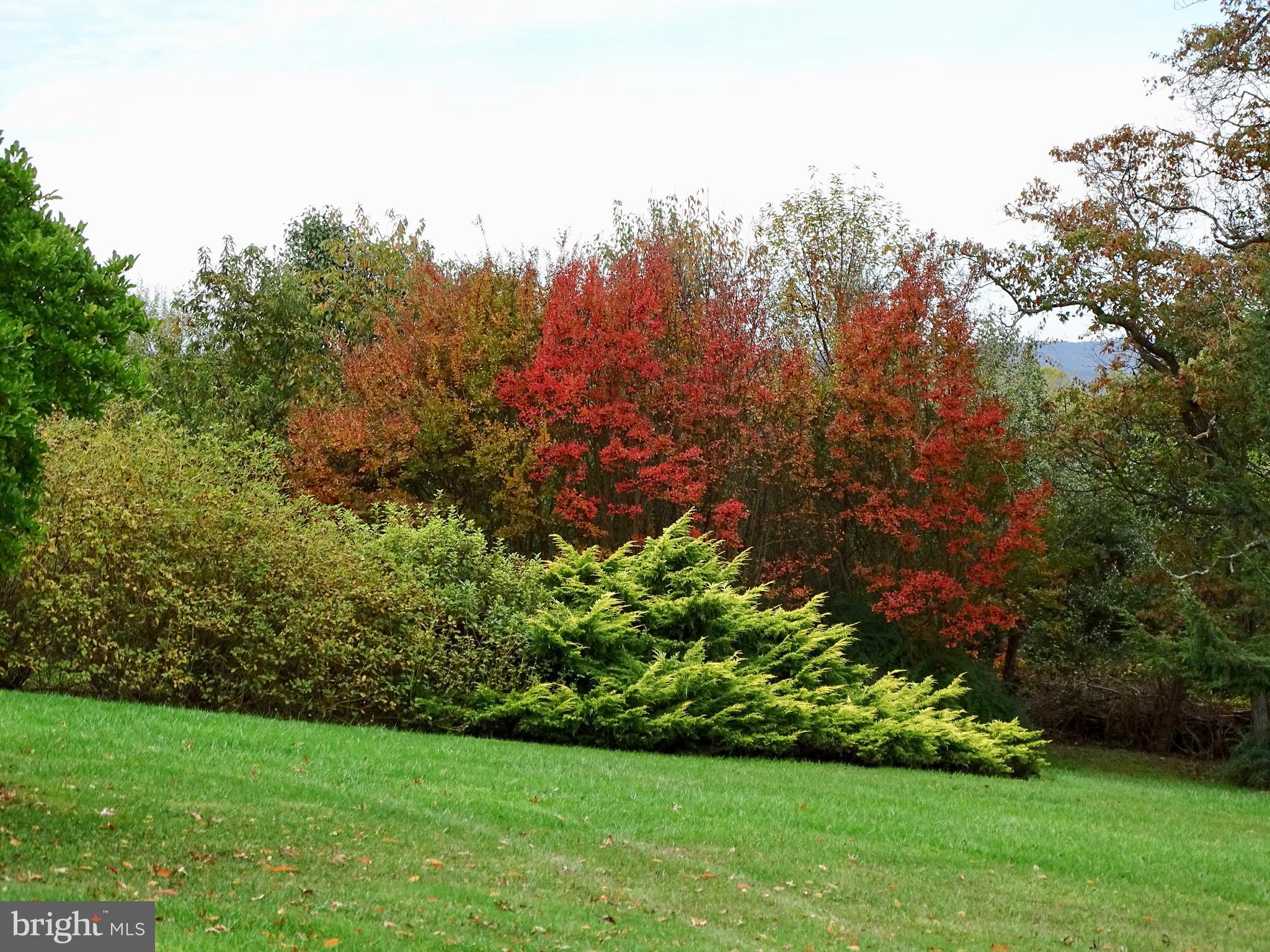 WASH & LEE UNIV - Residential