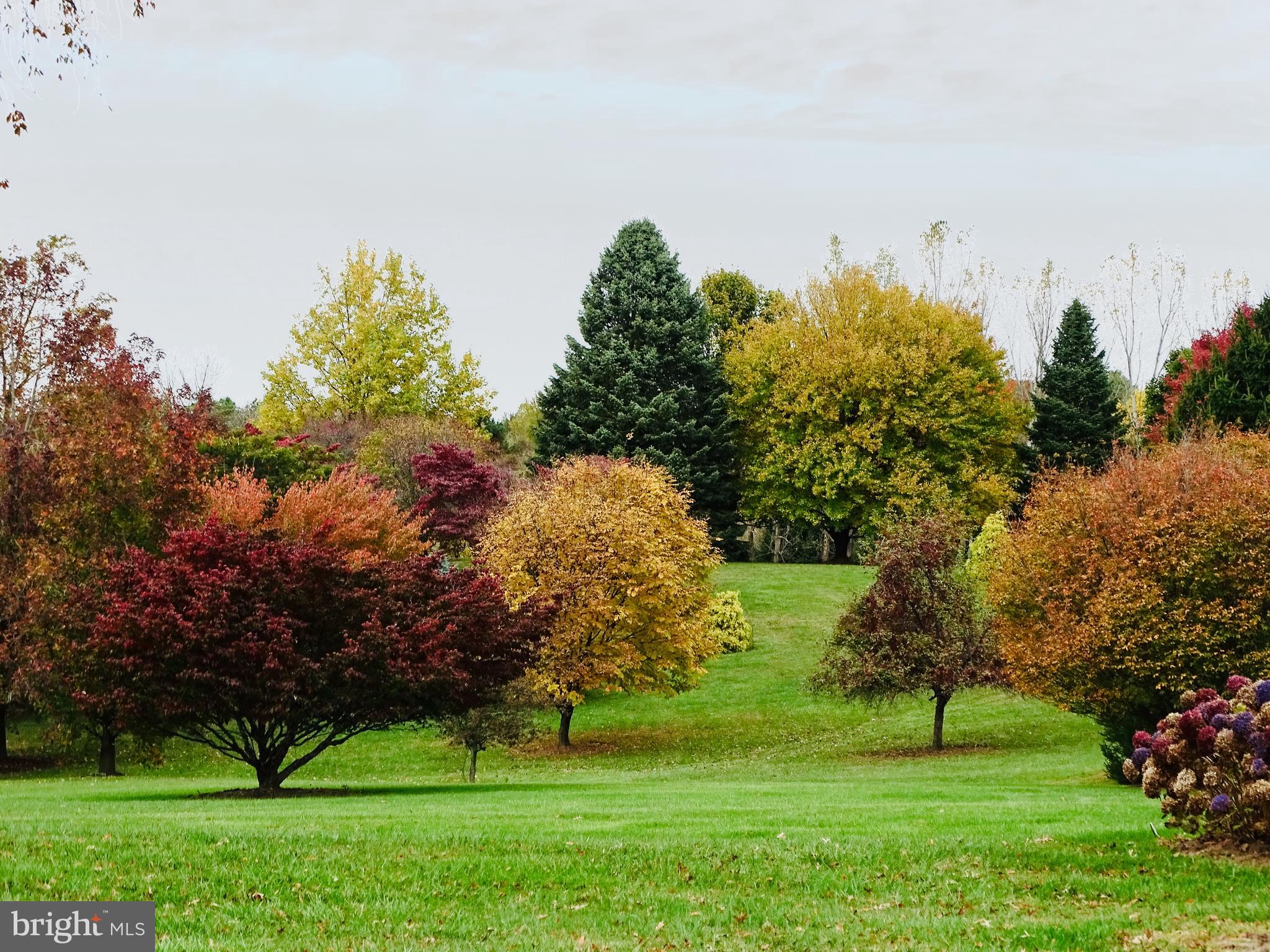 WASH & LEE UNIV - Residential