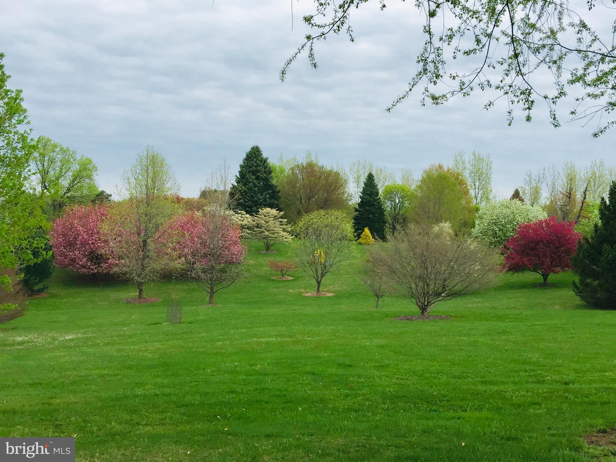 WASH & LEE UNIV - Residential