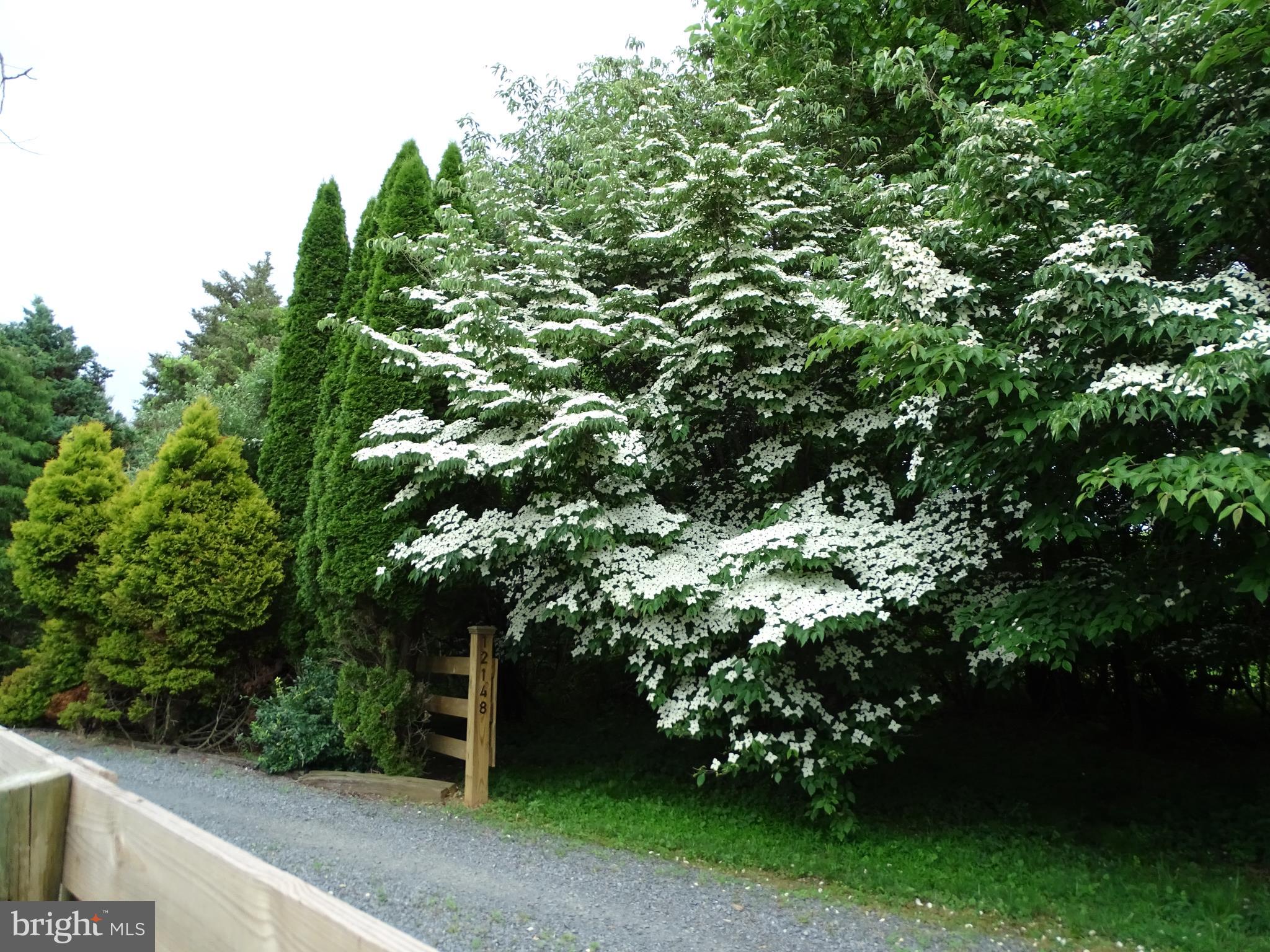 WASH & LEE UNIV - Residential