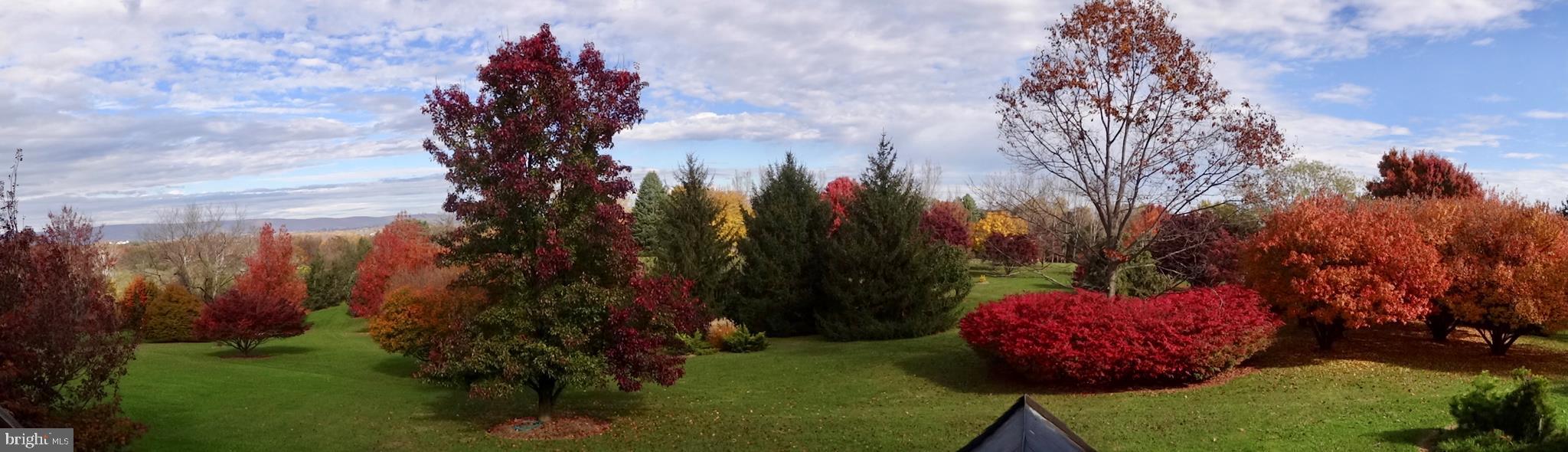 WASH & LEE UNIV - Residential