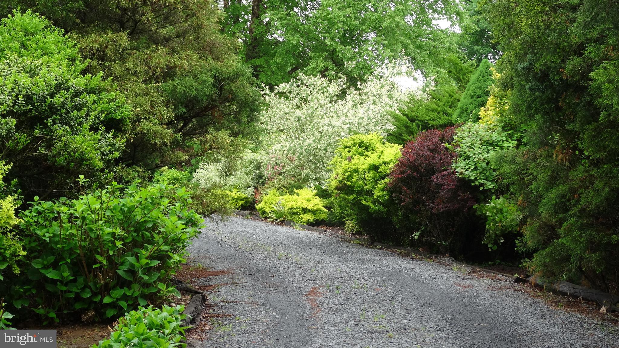 WASH & LEE UNIV - Residential