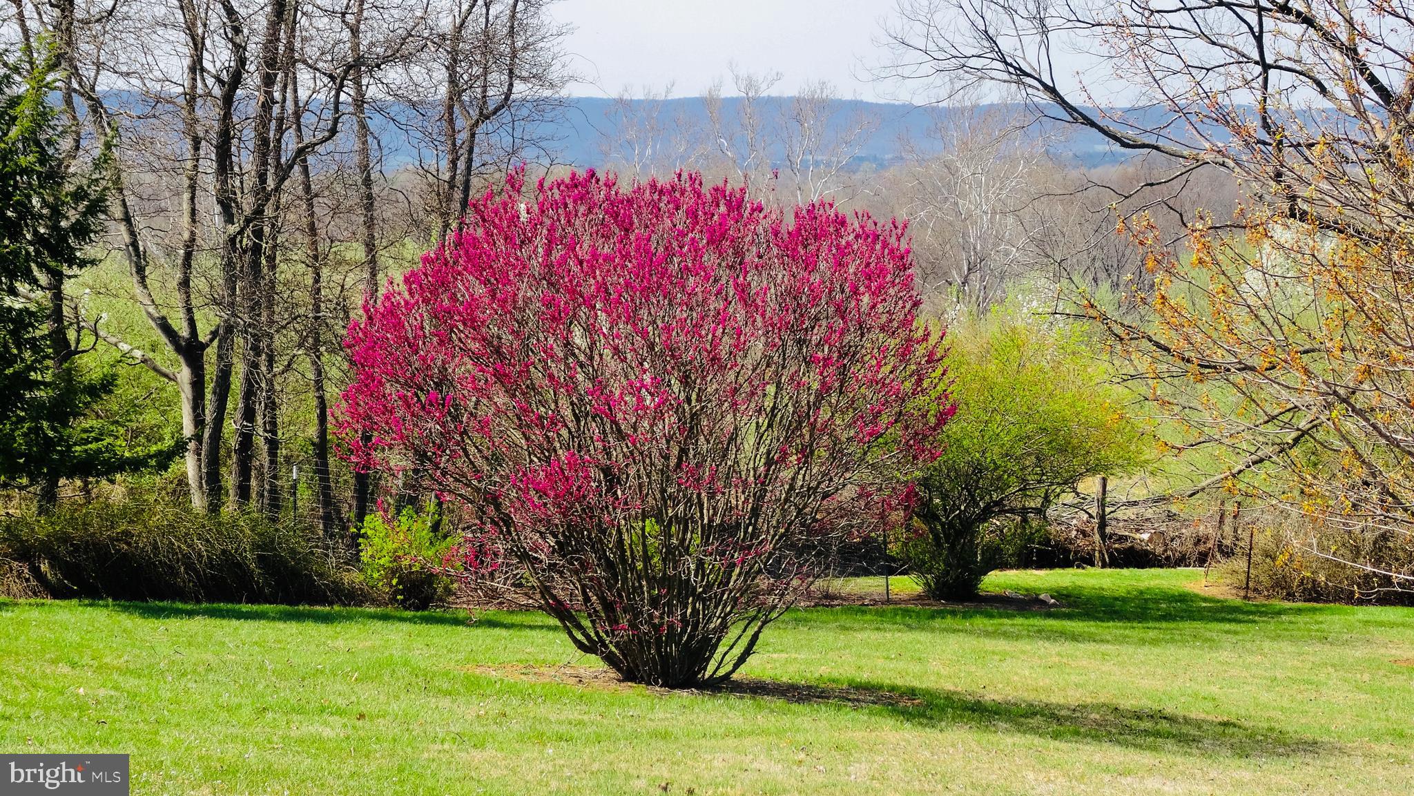 WASH & LEE UNIV - Residential