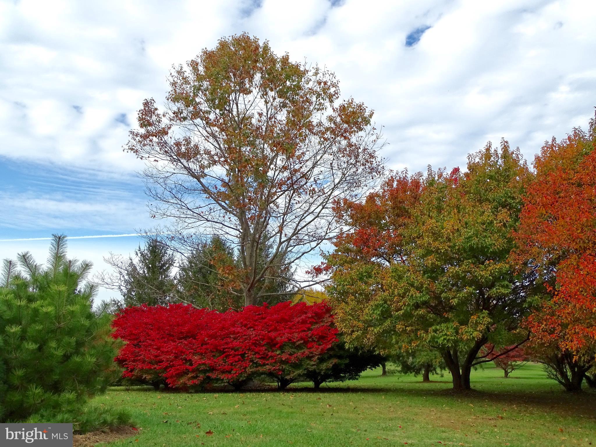 WASH & LEE UNIV - Residential