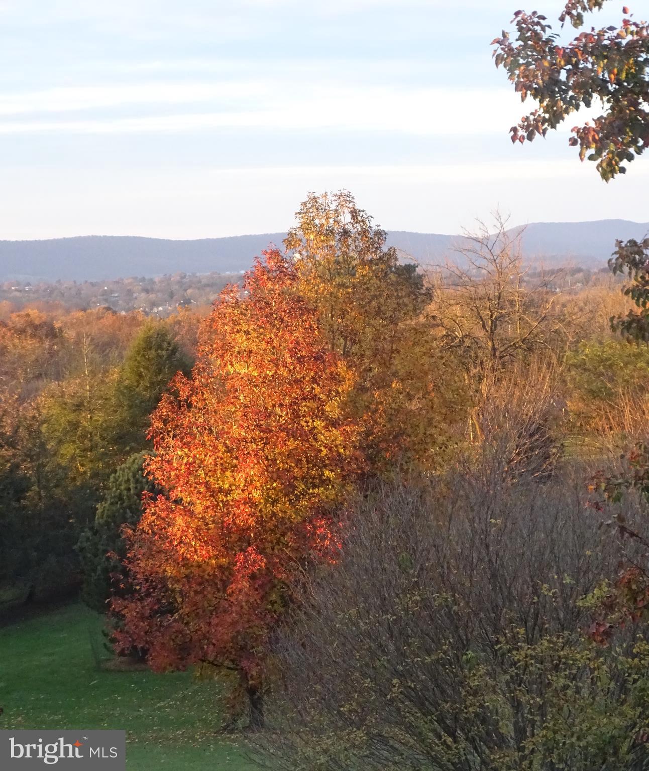 WASH & LEE UNIV - Residential