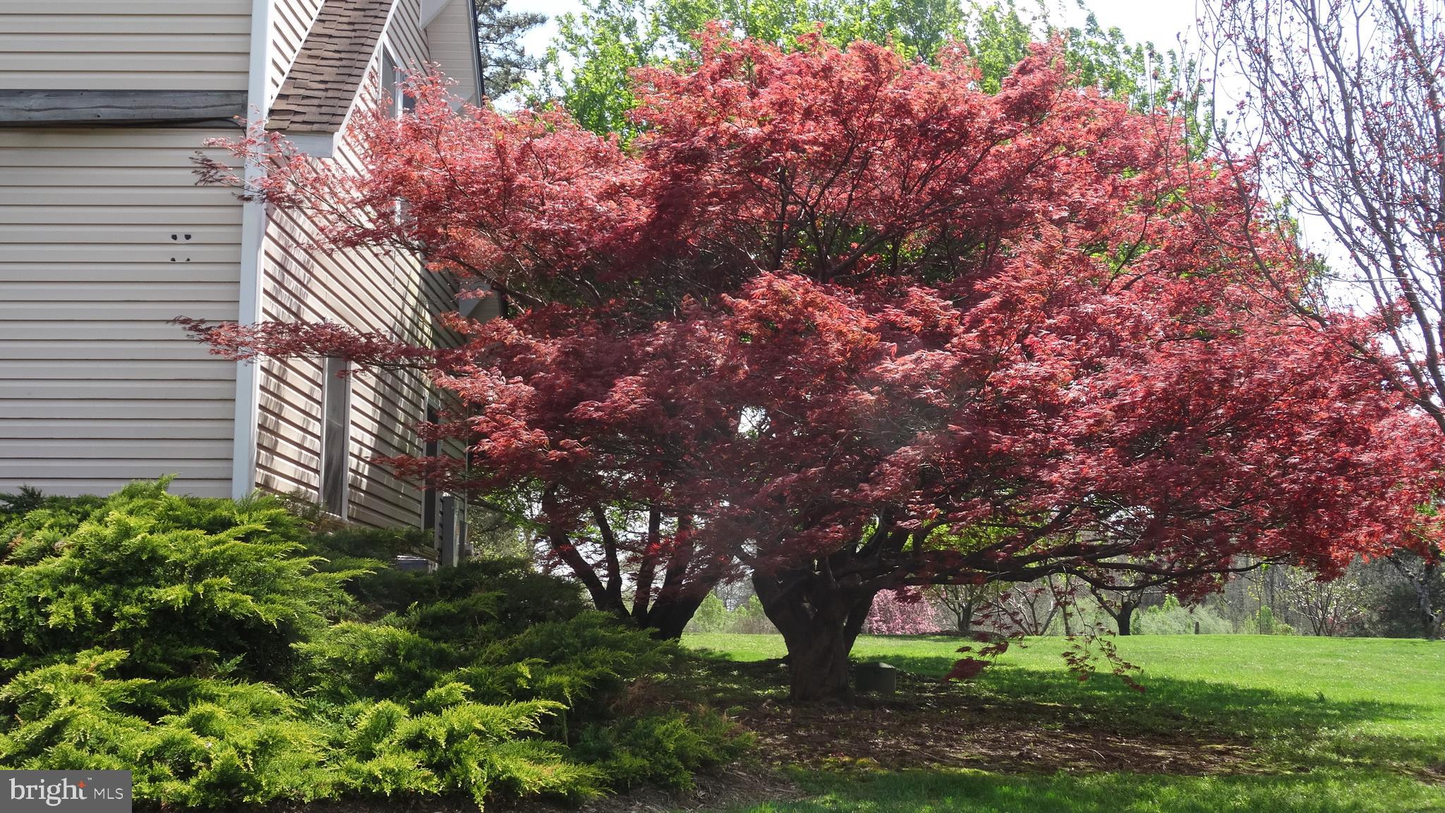 WASH & LEE UNIV - Residential