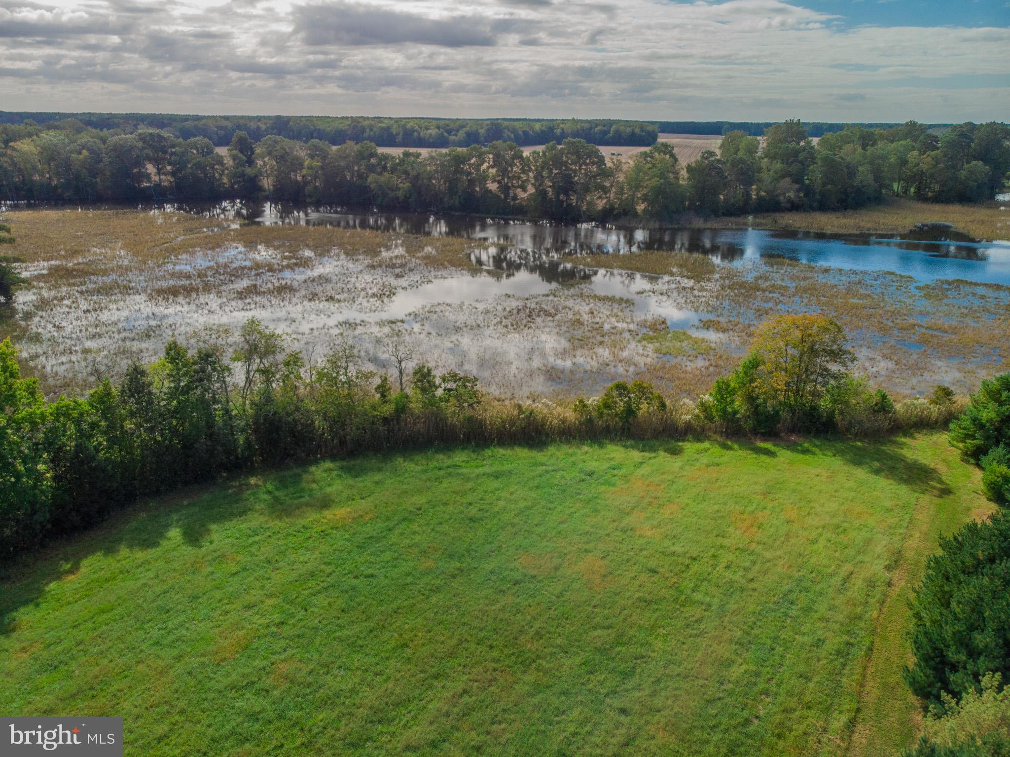 COVINGTON COVE - Land