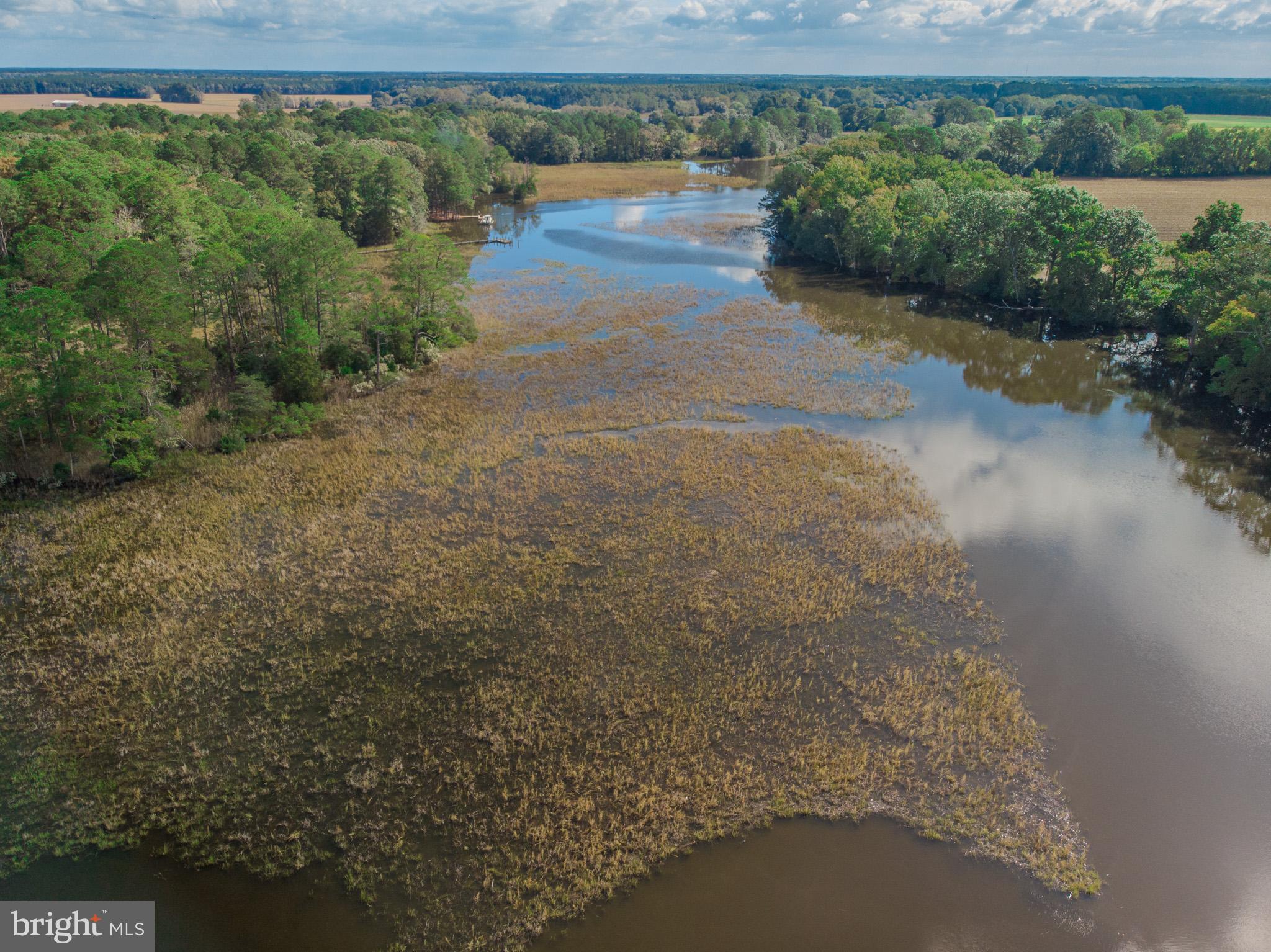 COVINGTON COVE - Land