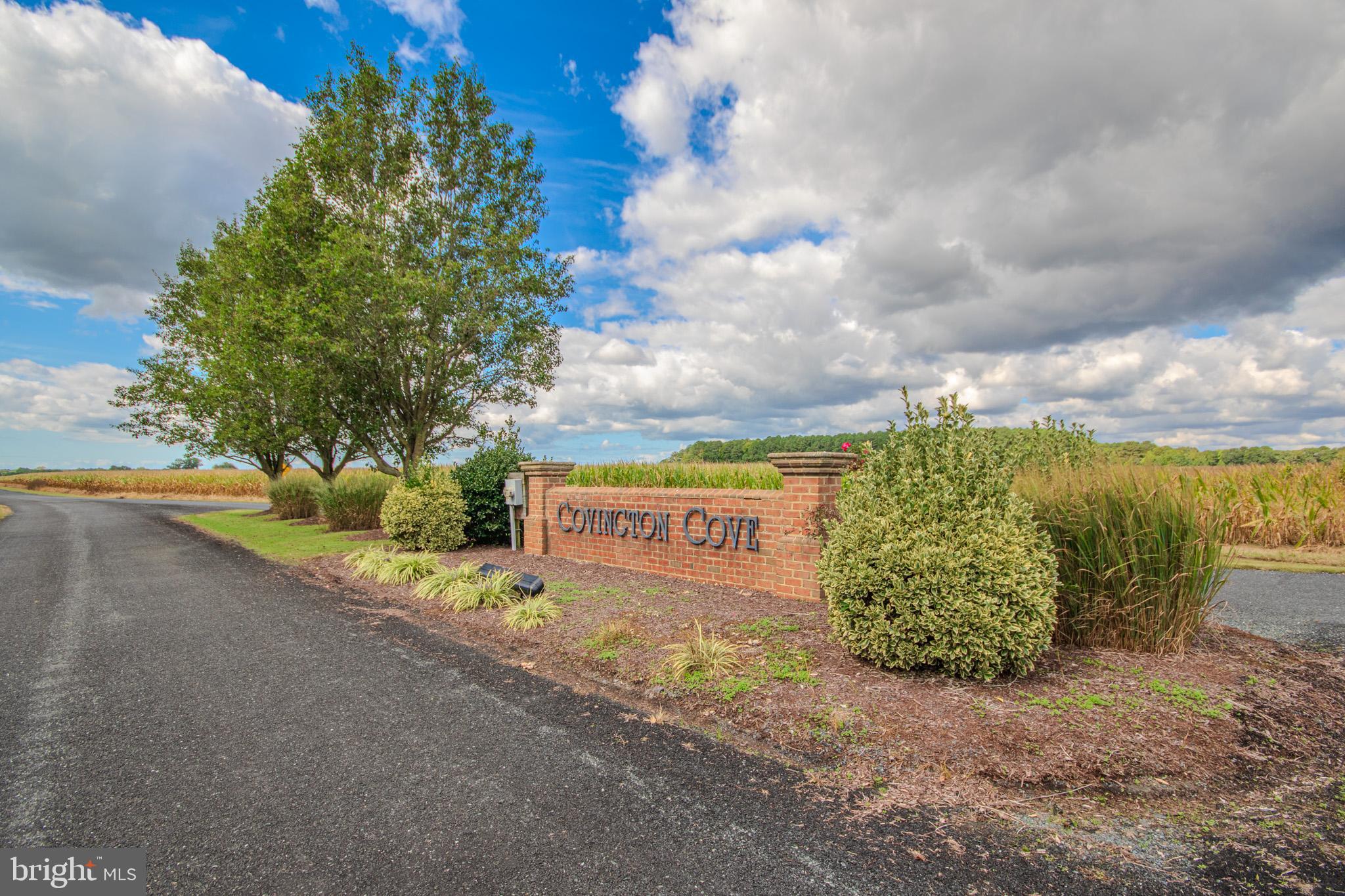 COVINGTON COVE - Land