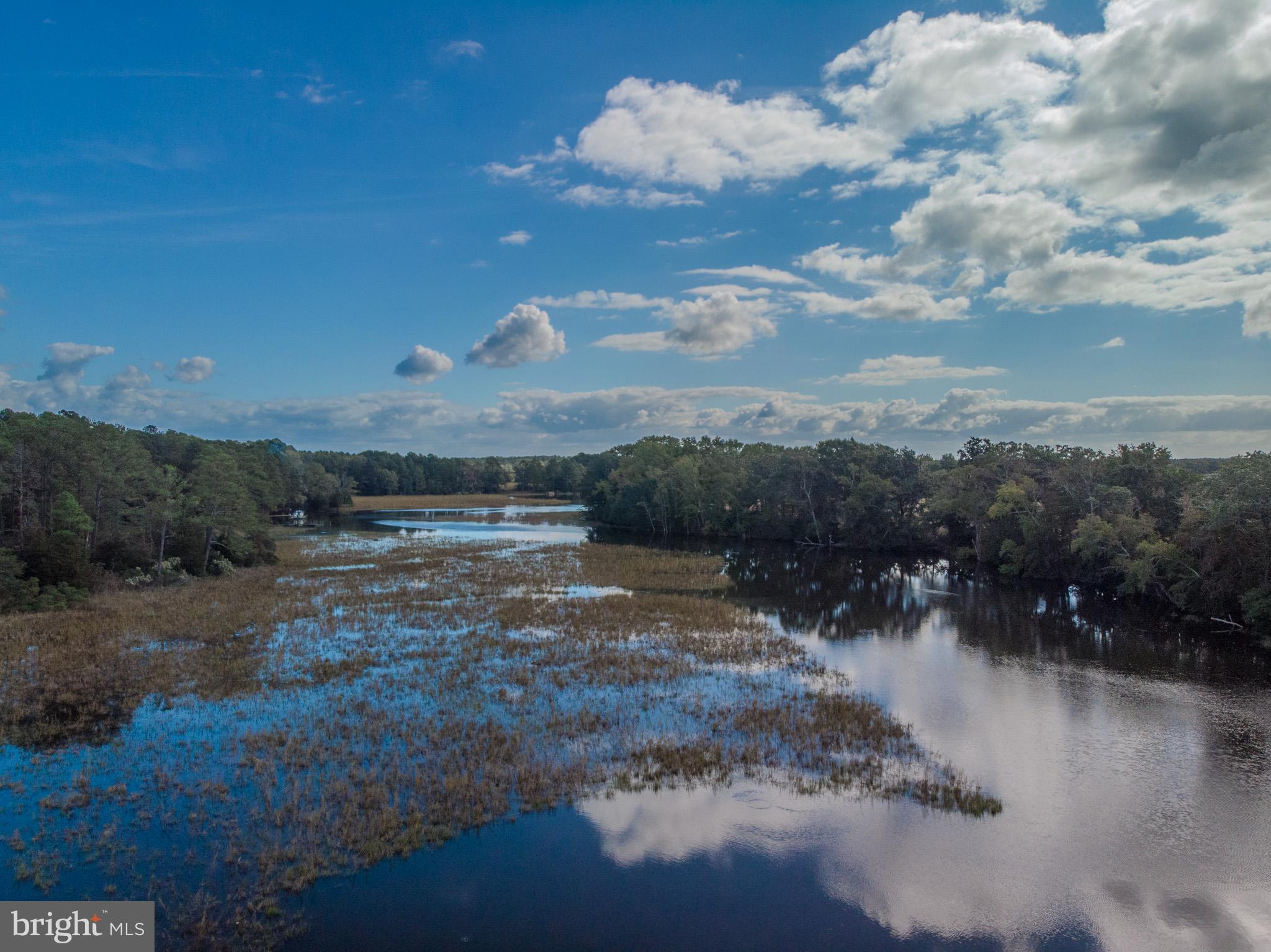 COVINGTON COVE - Land