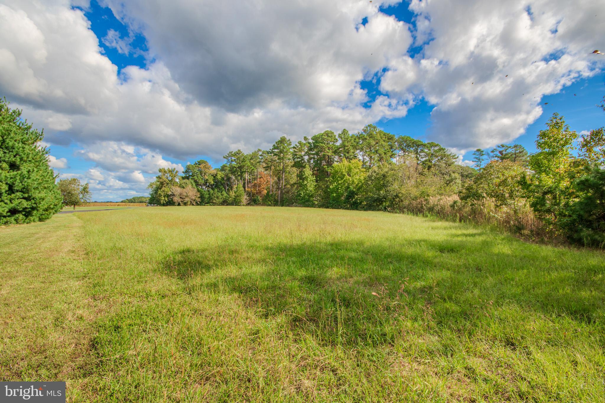 COVINGTON COVE - Land