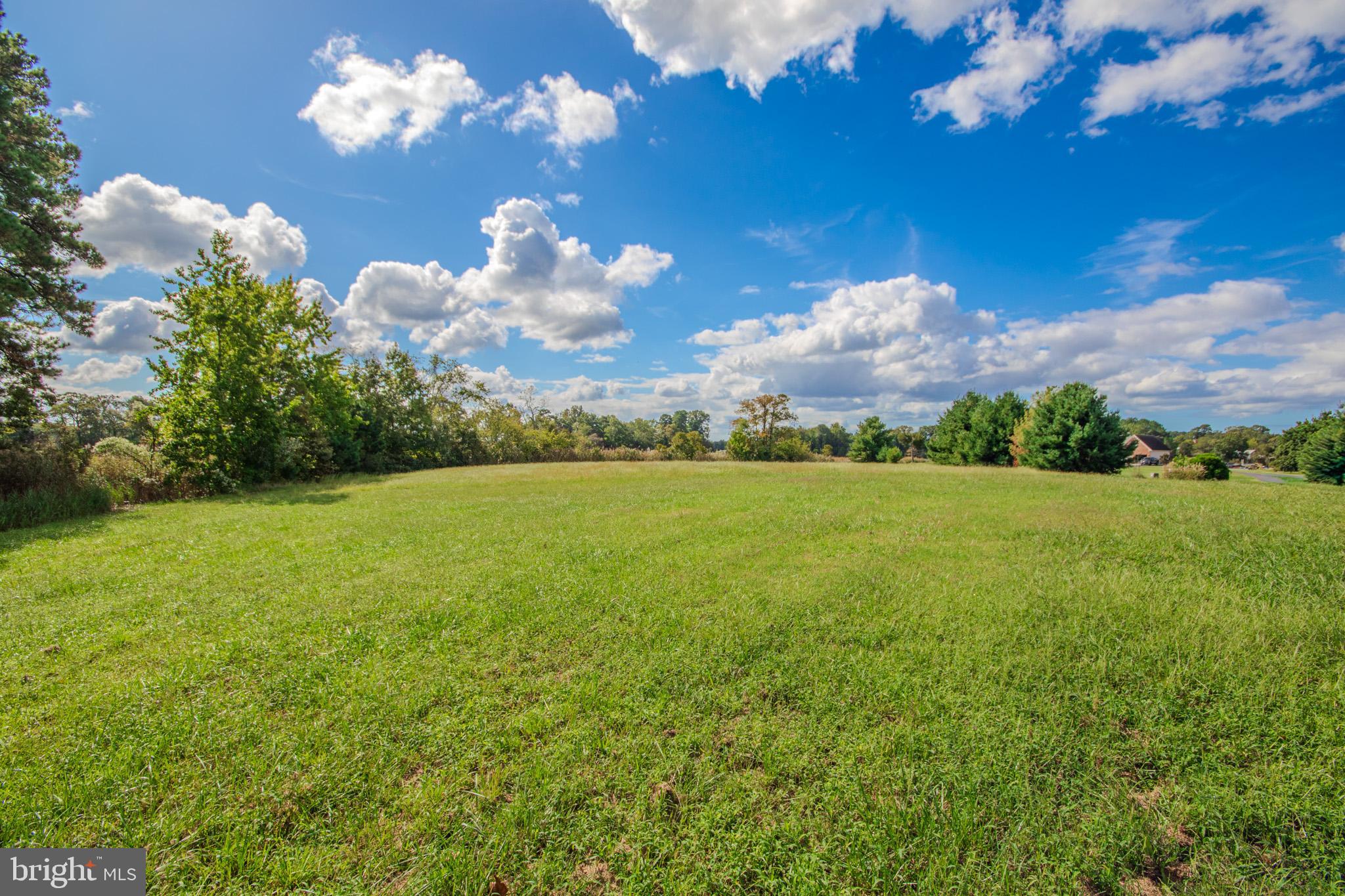 COVINGTON COVE - Land