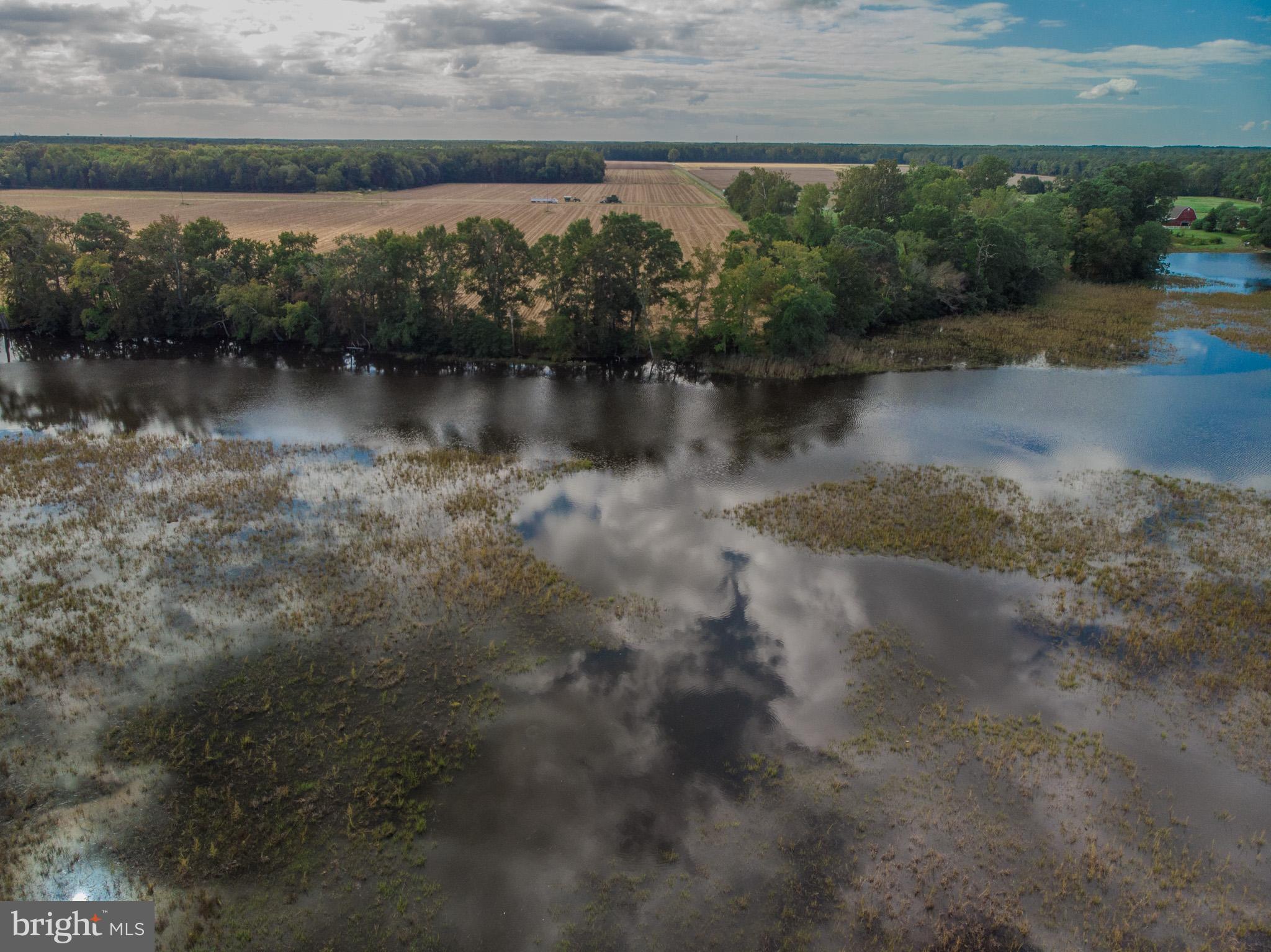 COVINGTON COVE - Land