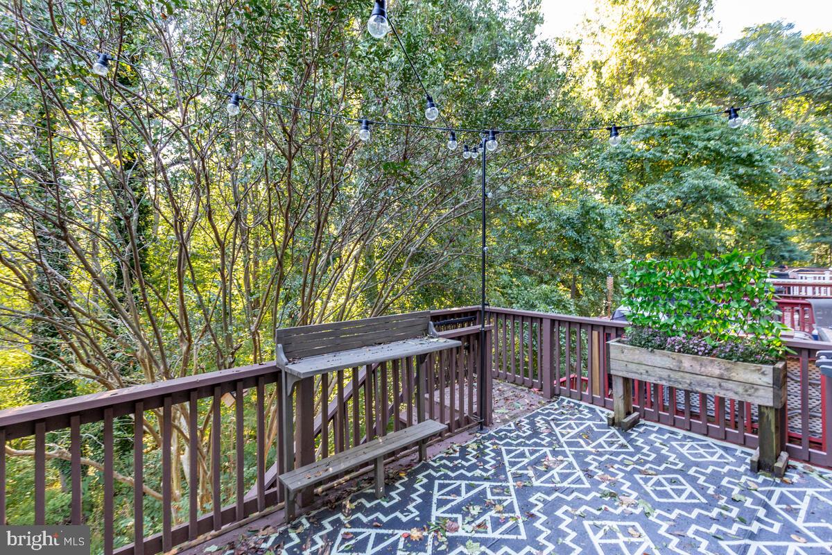 CHESAPEAKE LIGHTHOUSE - Residential Lease