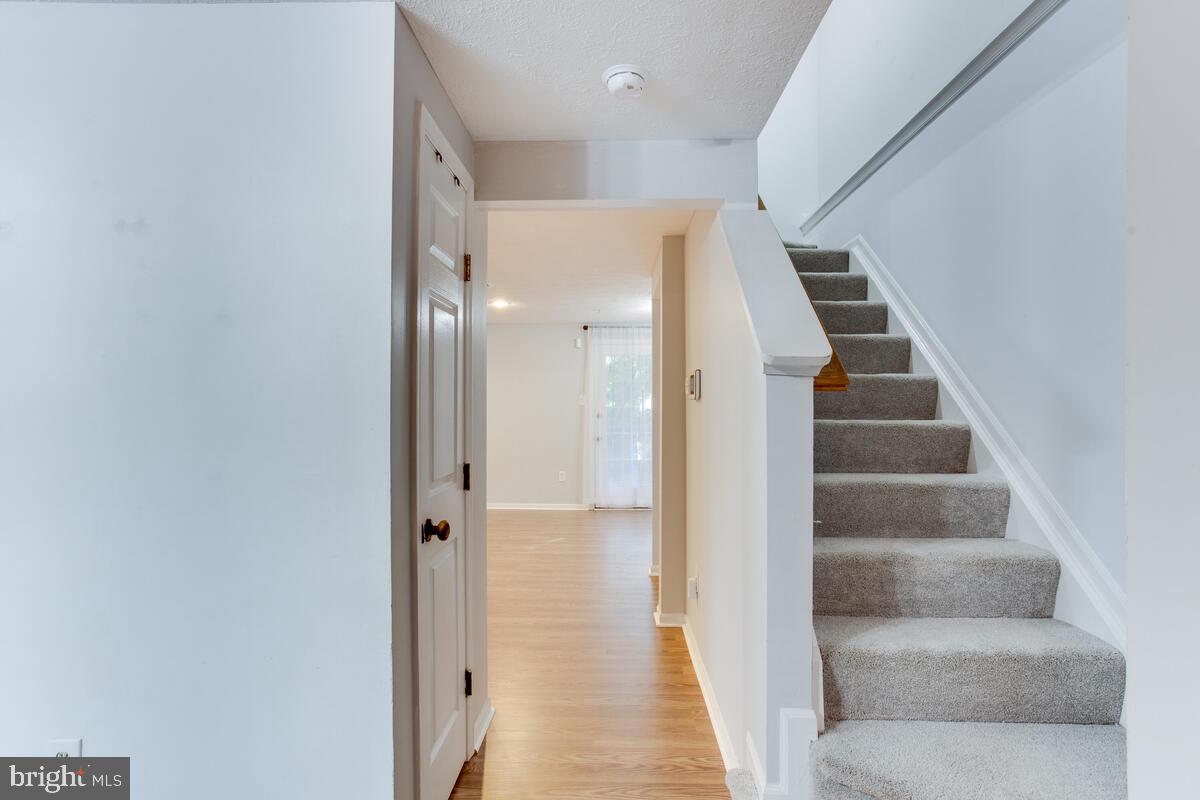 CHESAPEAKE LIGHTHOUSE - Residential Lease