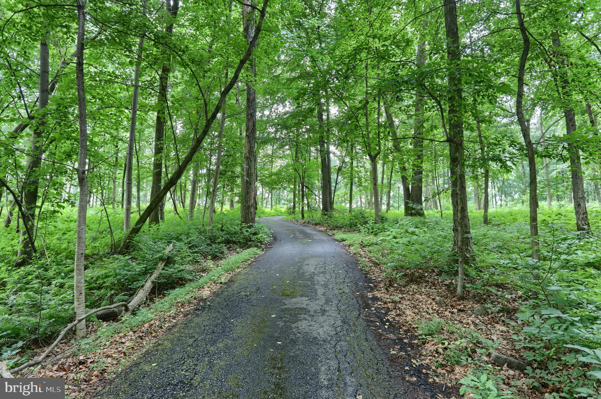 CONEWAGO TOWNSHIP - Residential