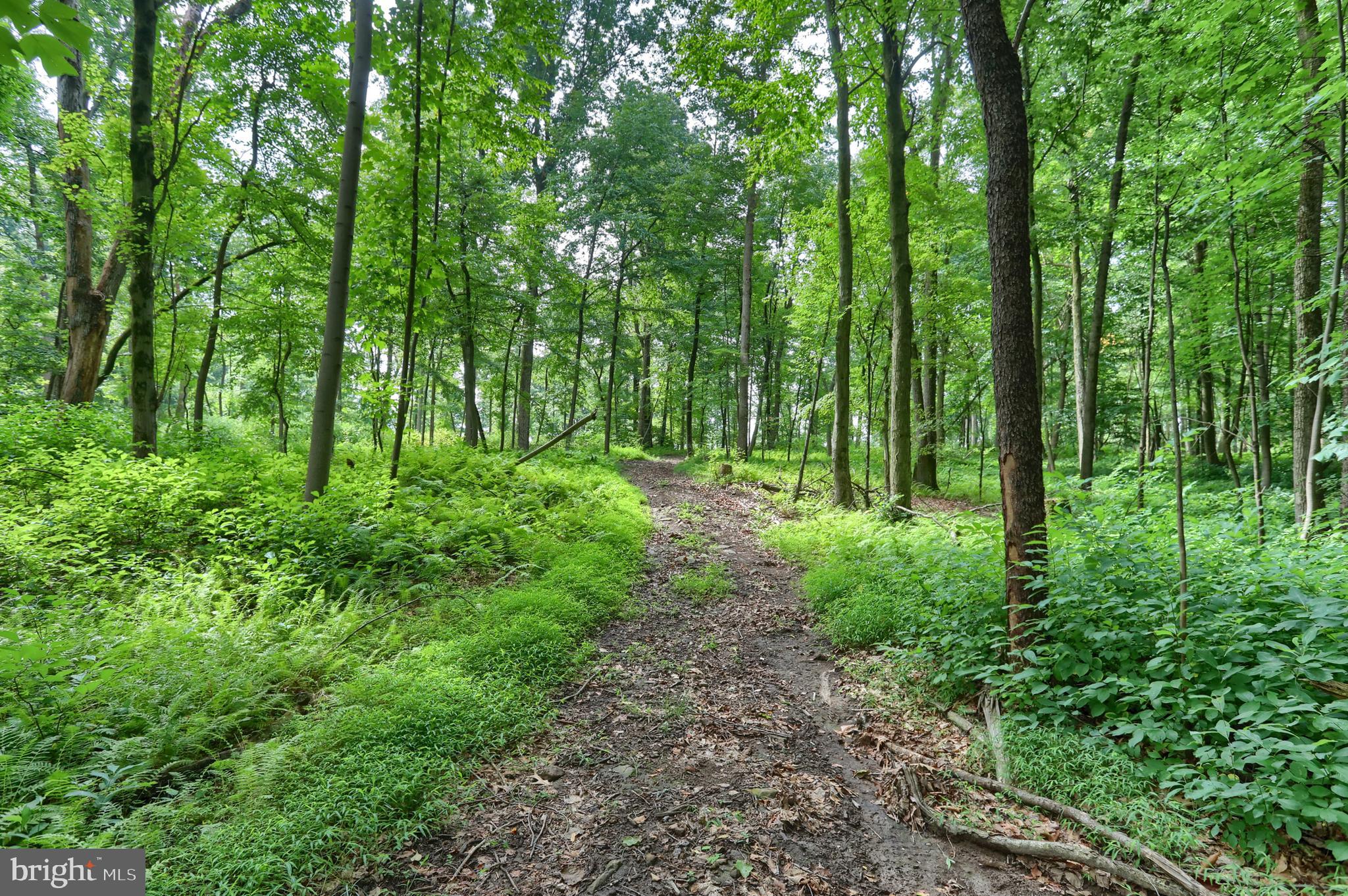 CONEWAGO TOWNSHIP - Residential