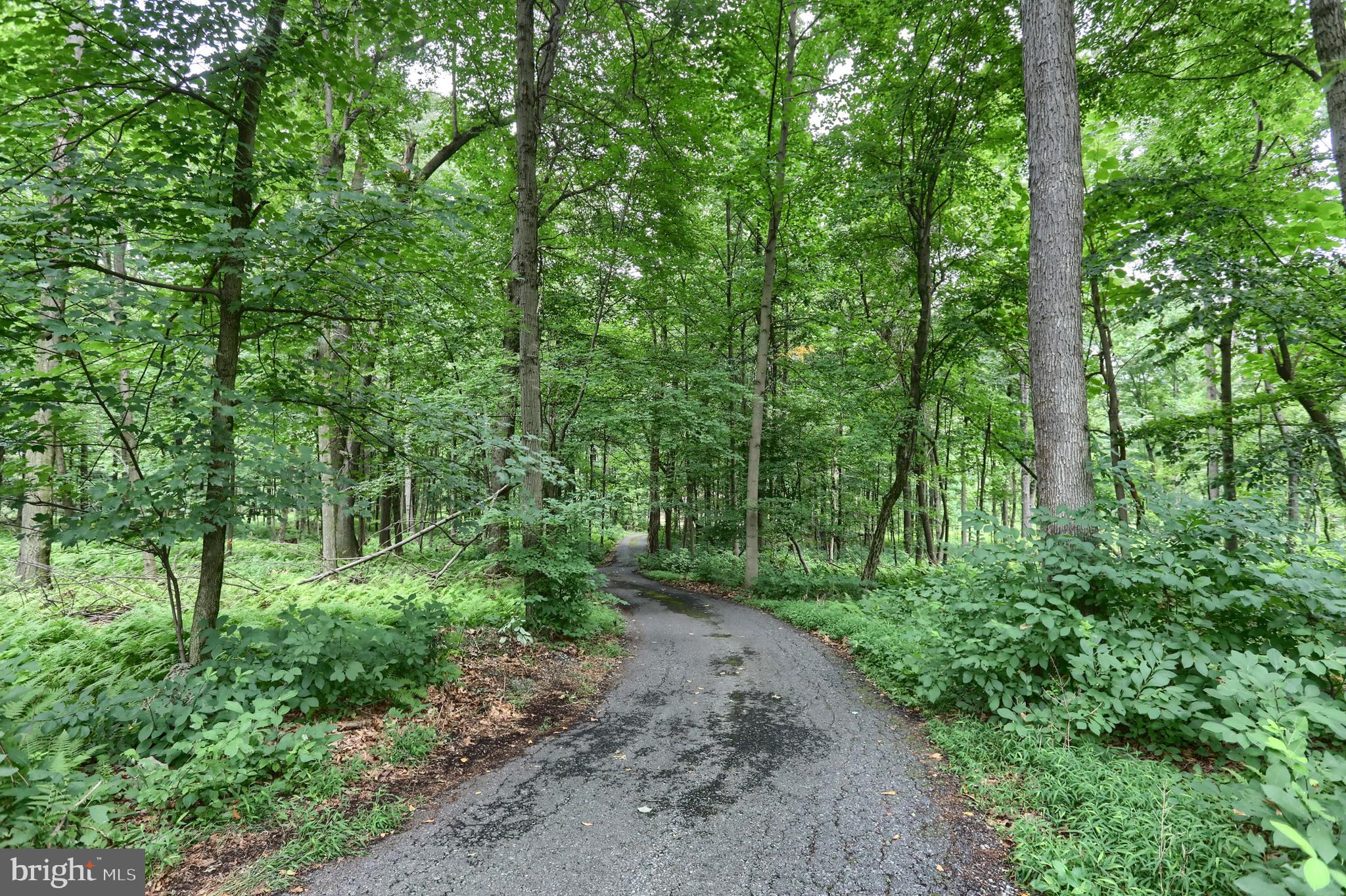 CONEWAGO TOWNSHIP - Residential